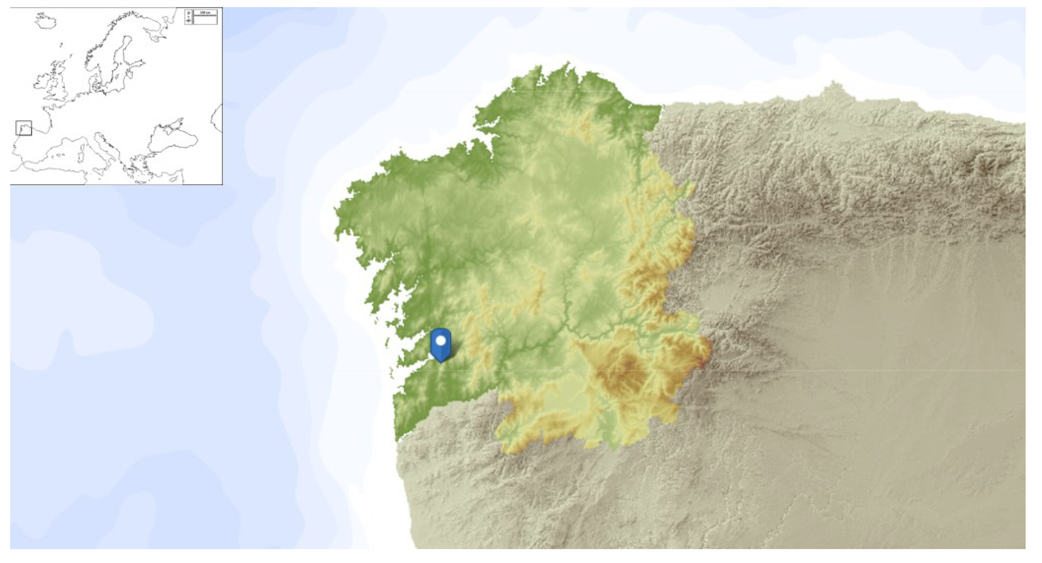 Preprints 100517 g008