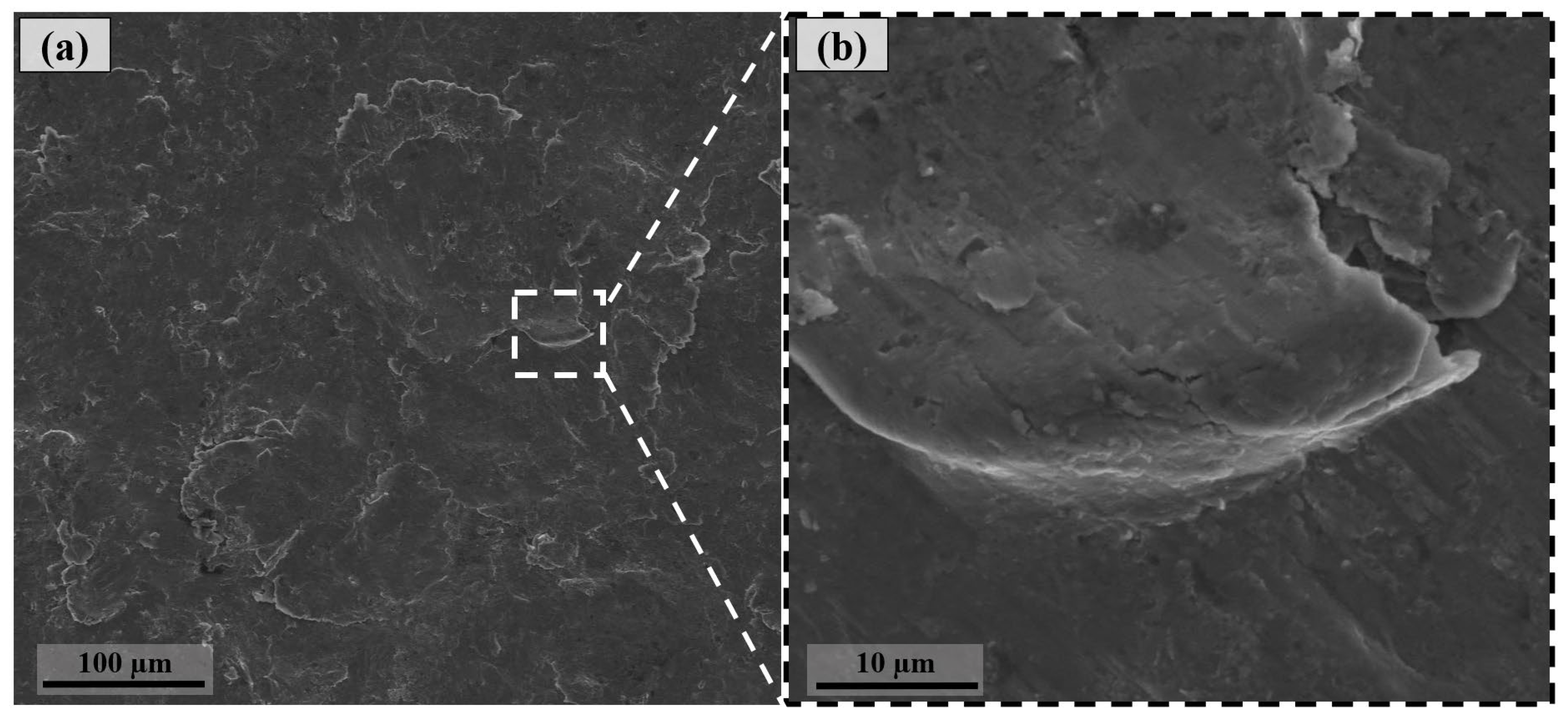 Preprints 172611 g003