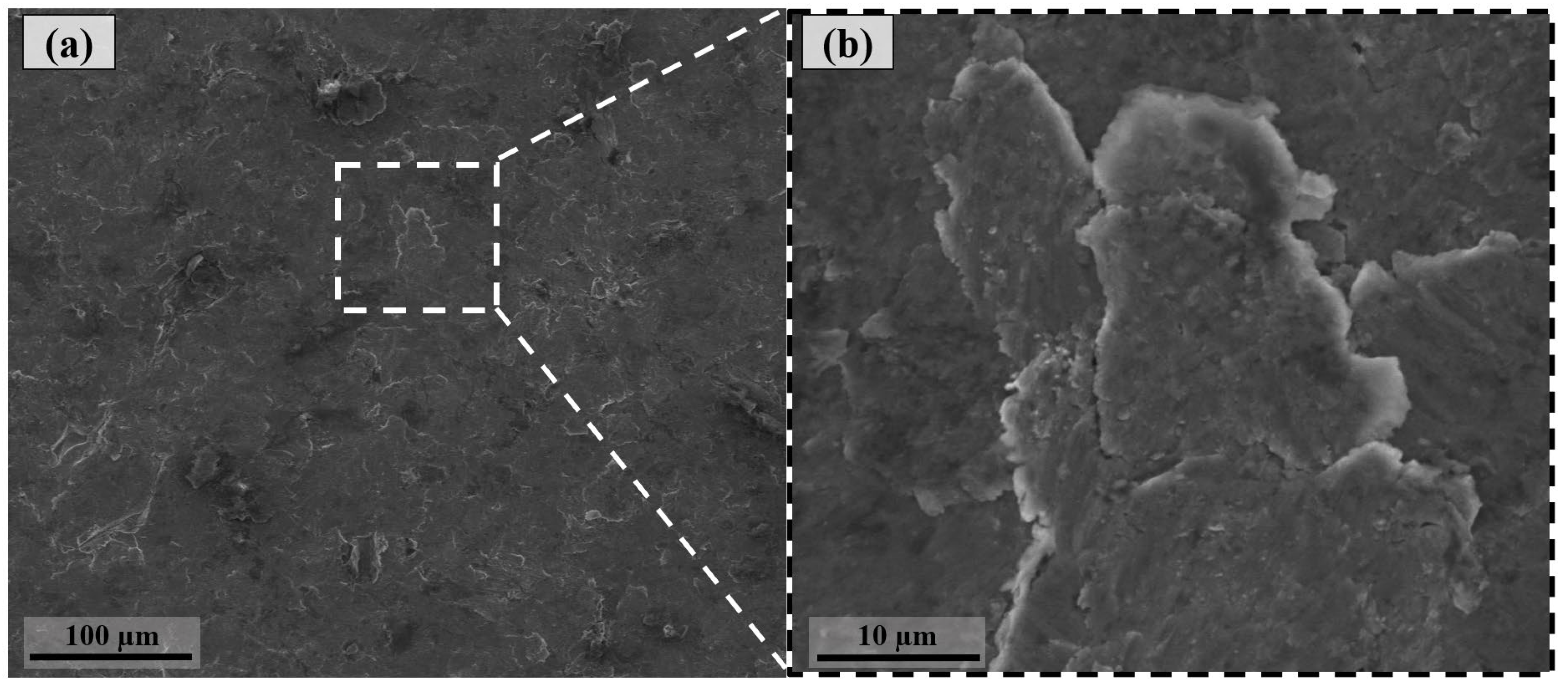 Preprints 172611 g004