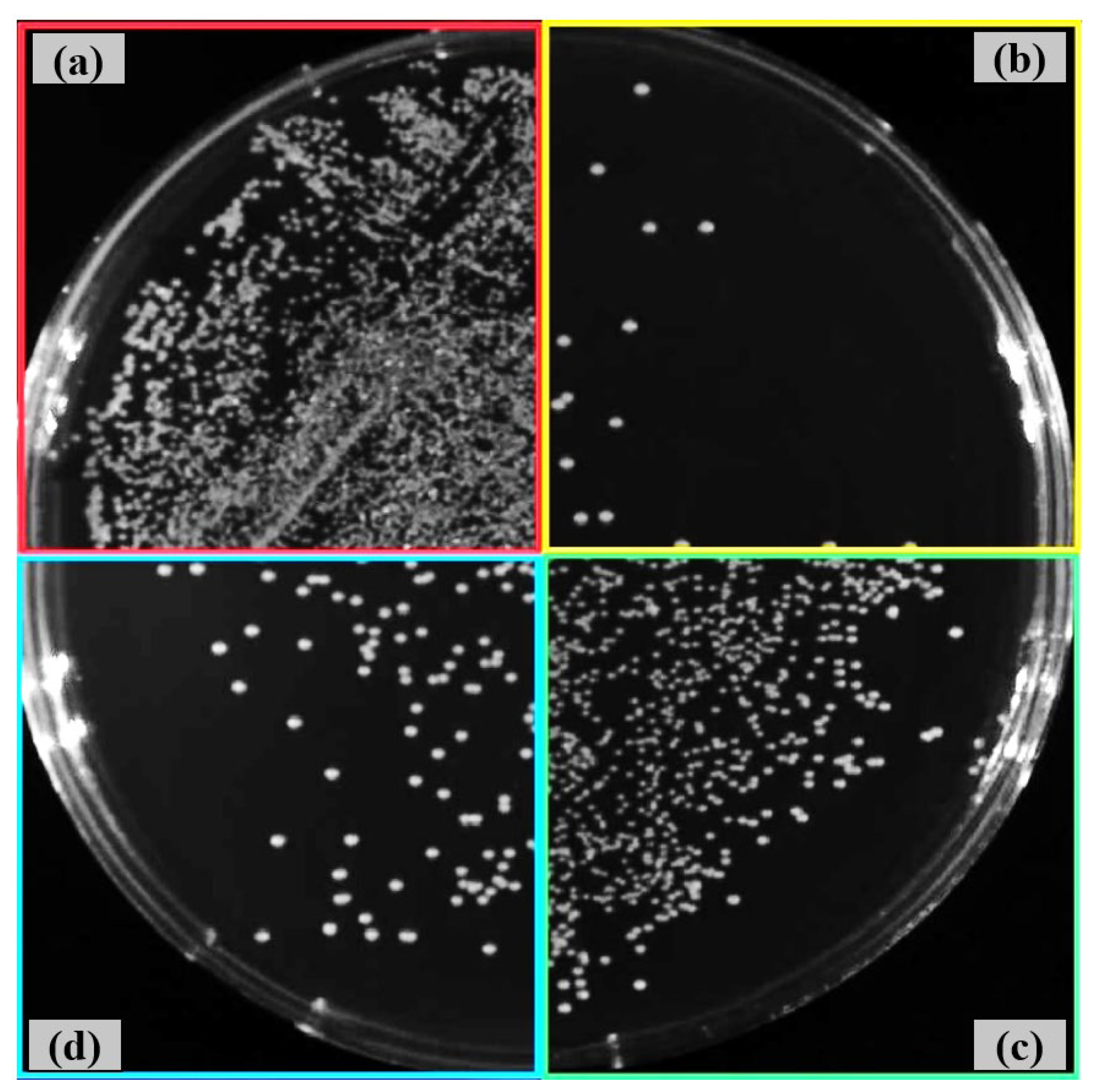 Preprints 172611 g009