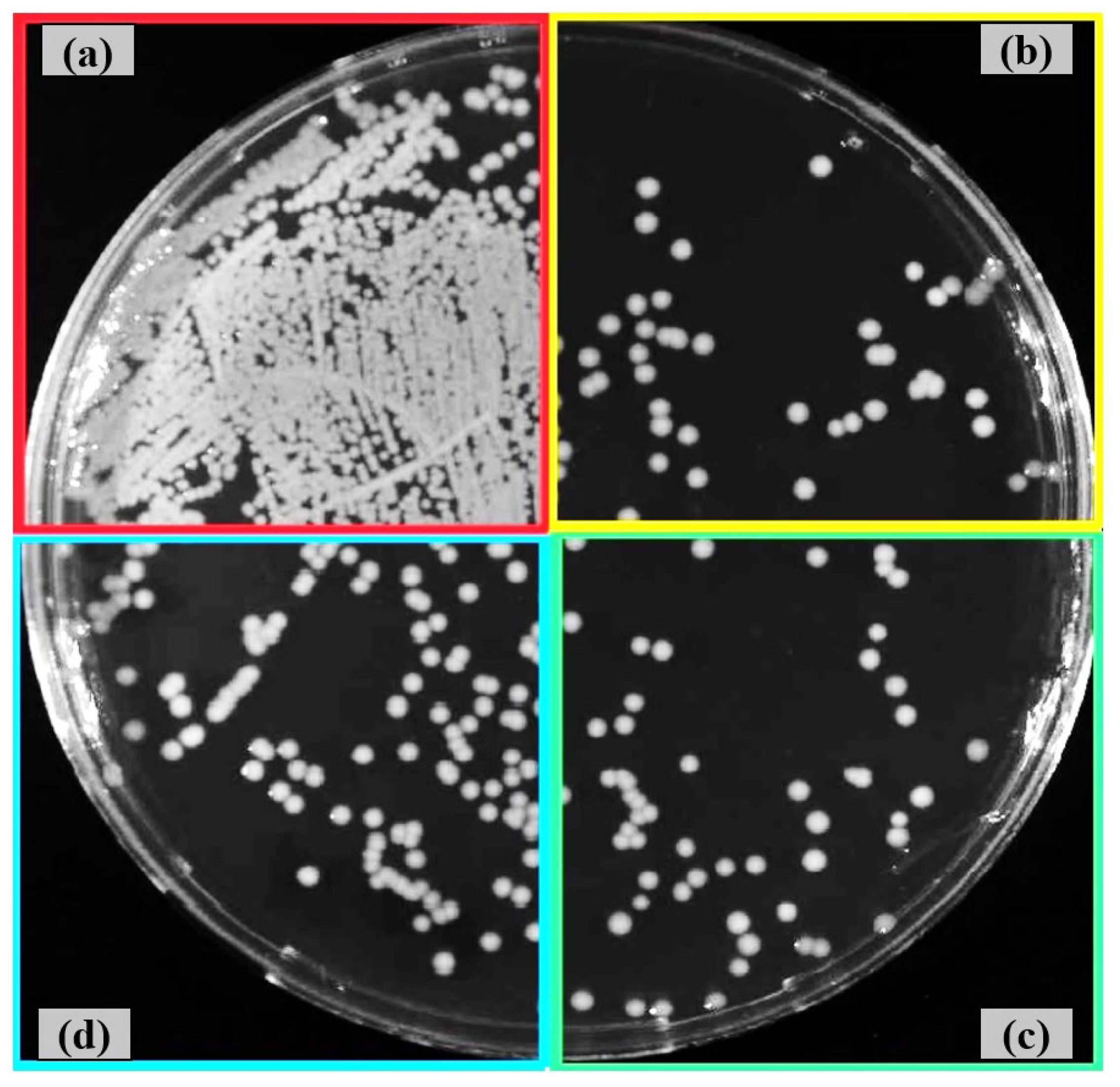 Preprints 172611 g010