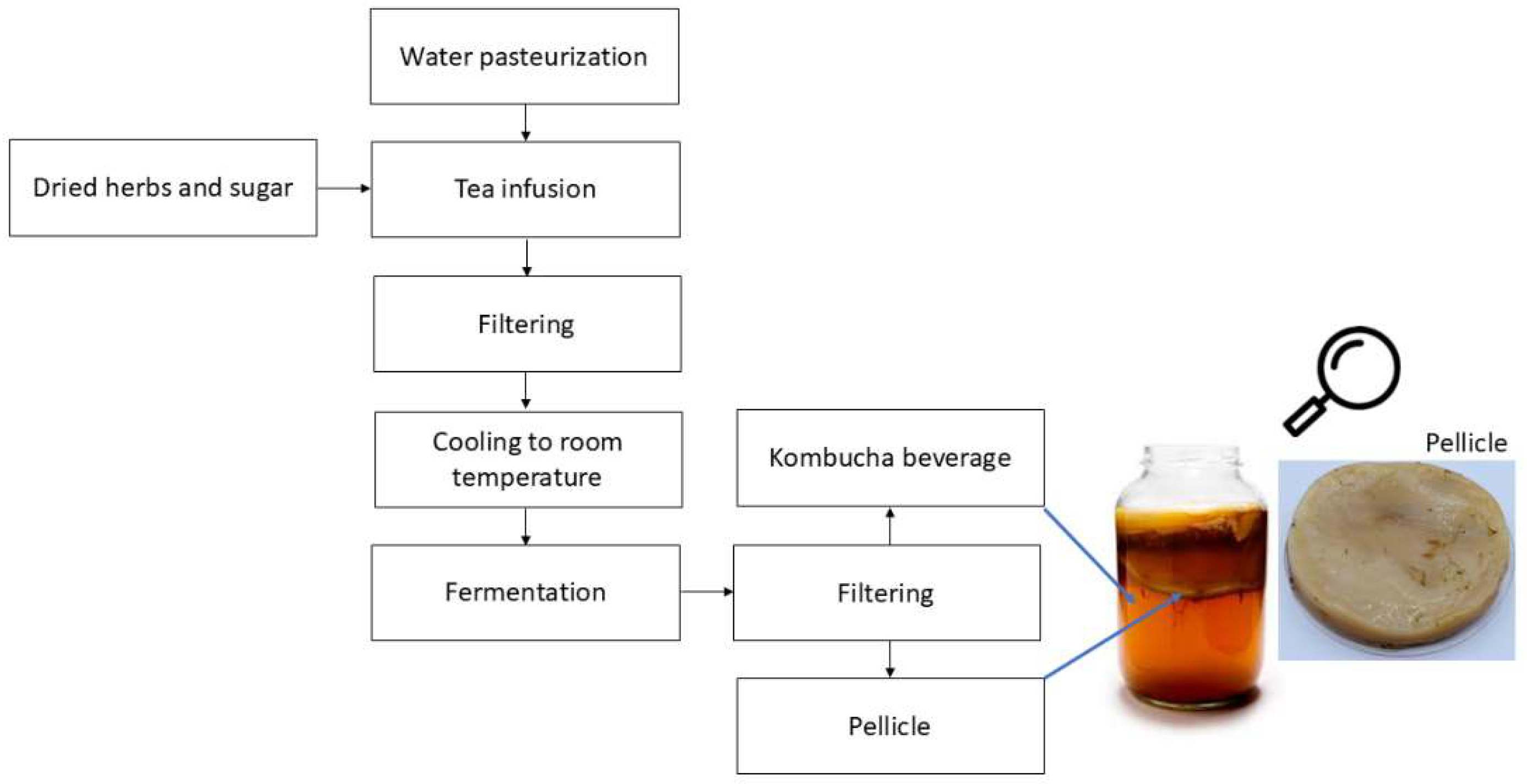 Preprints 148251 g001