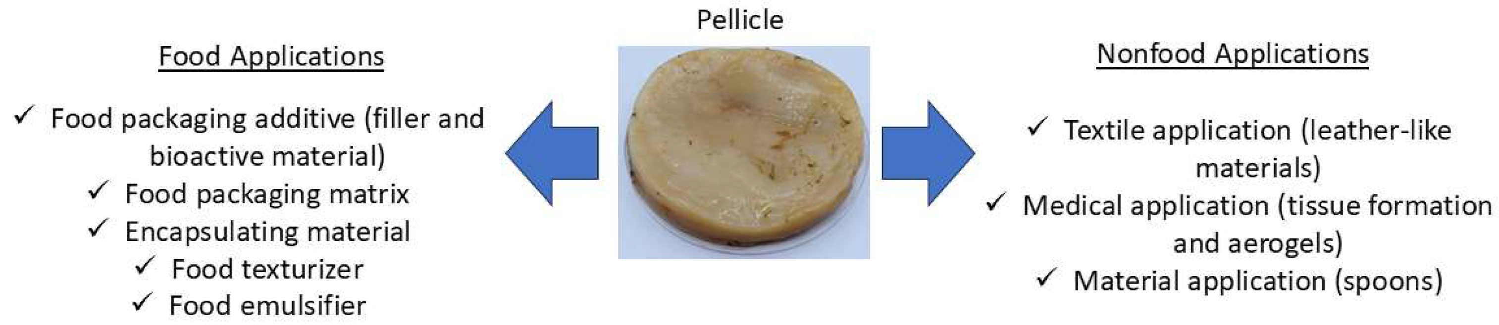 Preprints 148251 g003