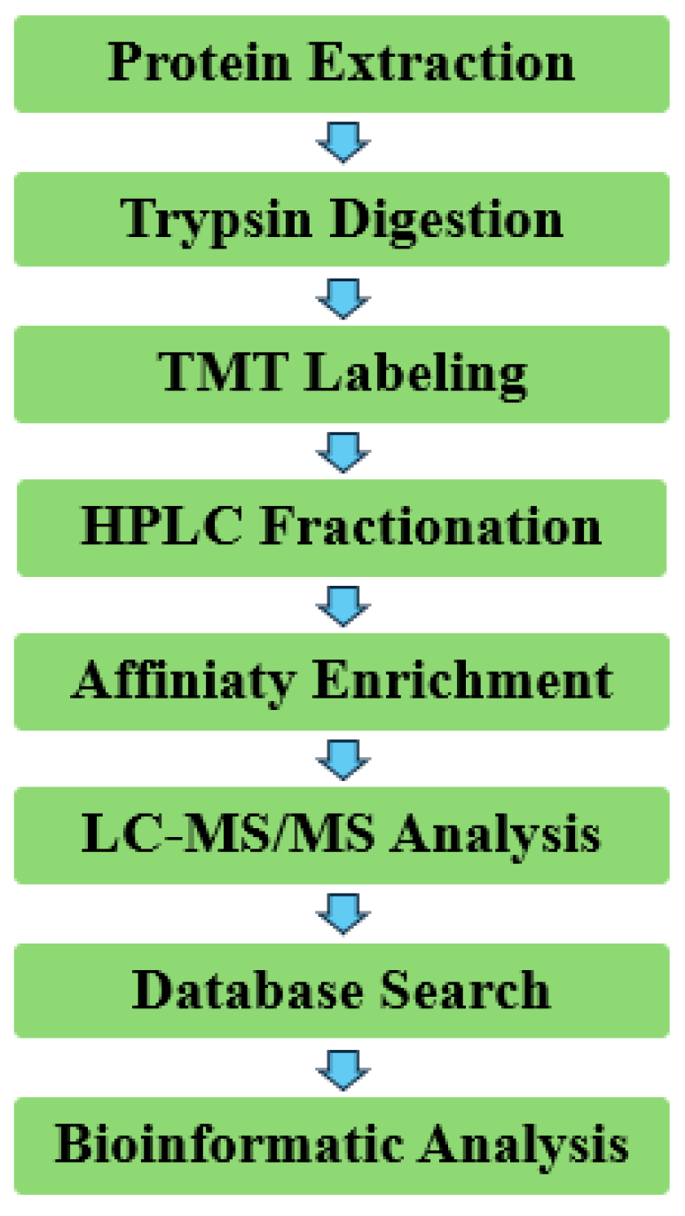 Preprints 113244 g001