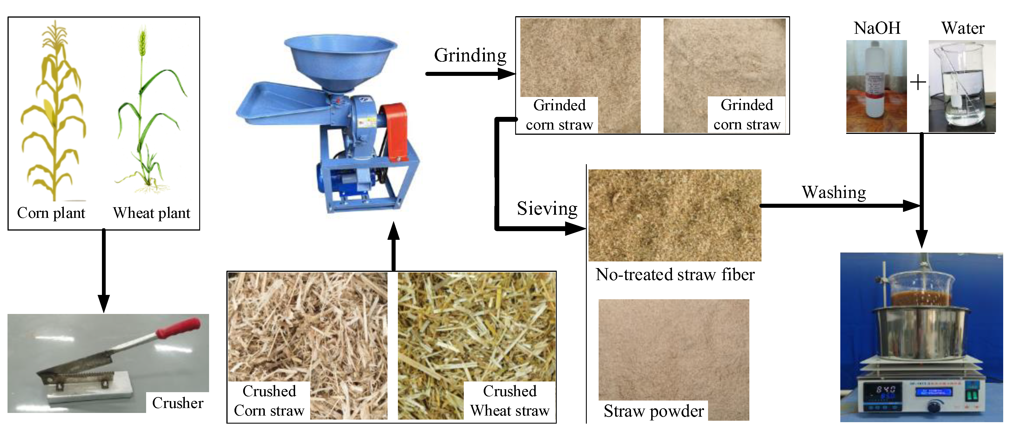 Preprints 142679 g001