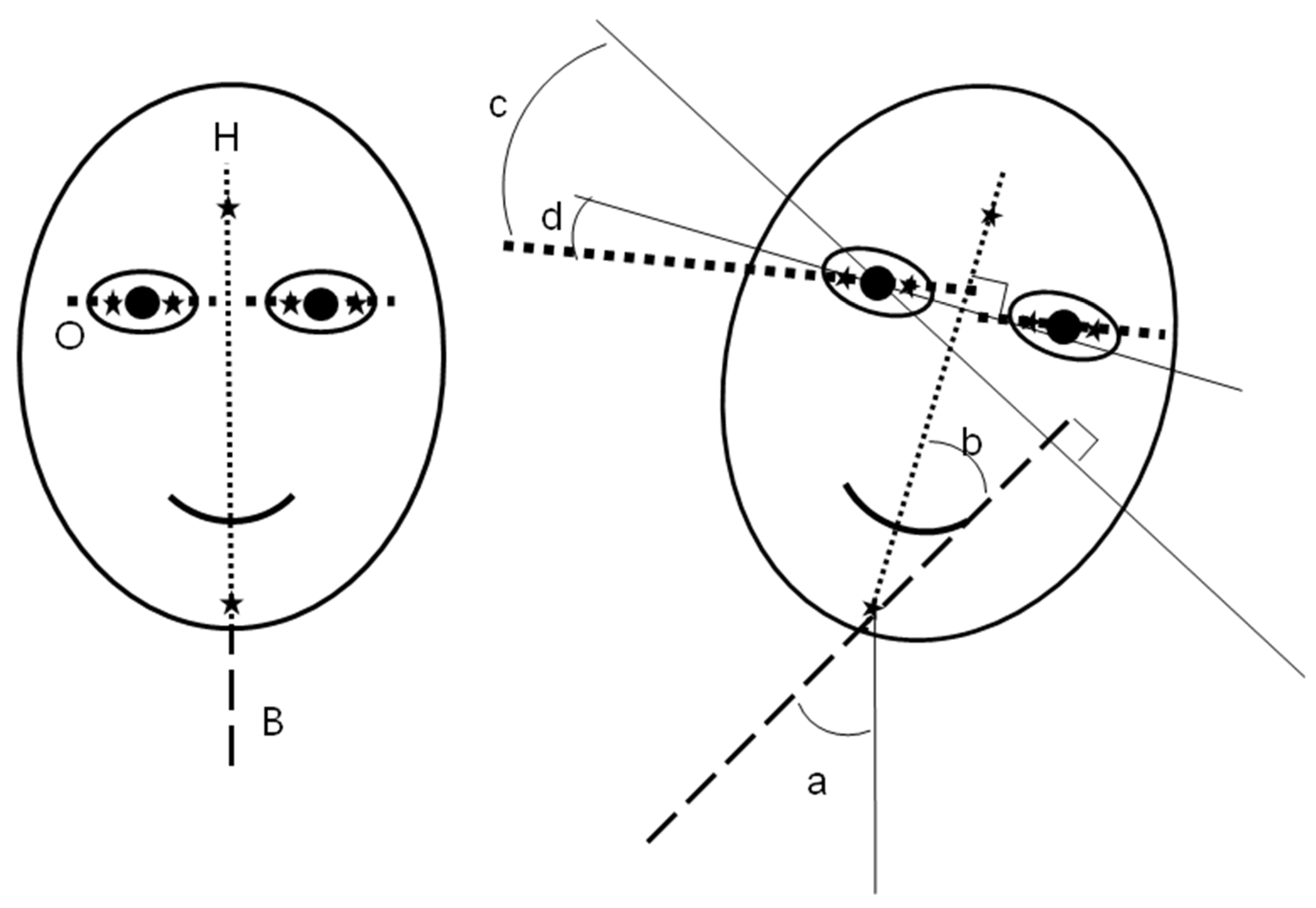 Preprints 106303 g001b