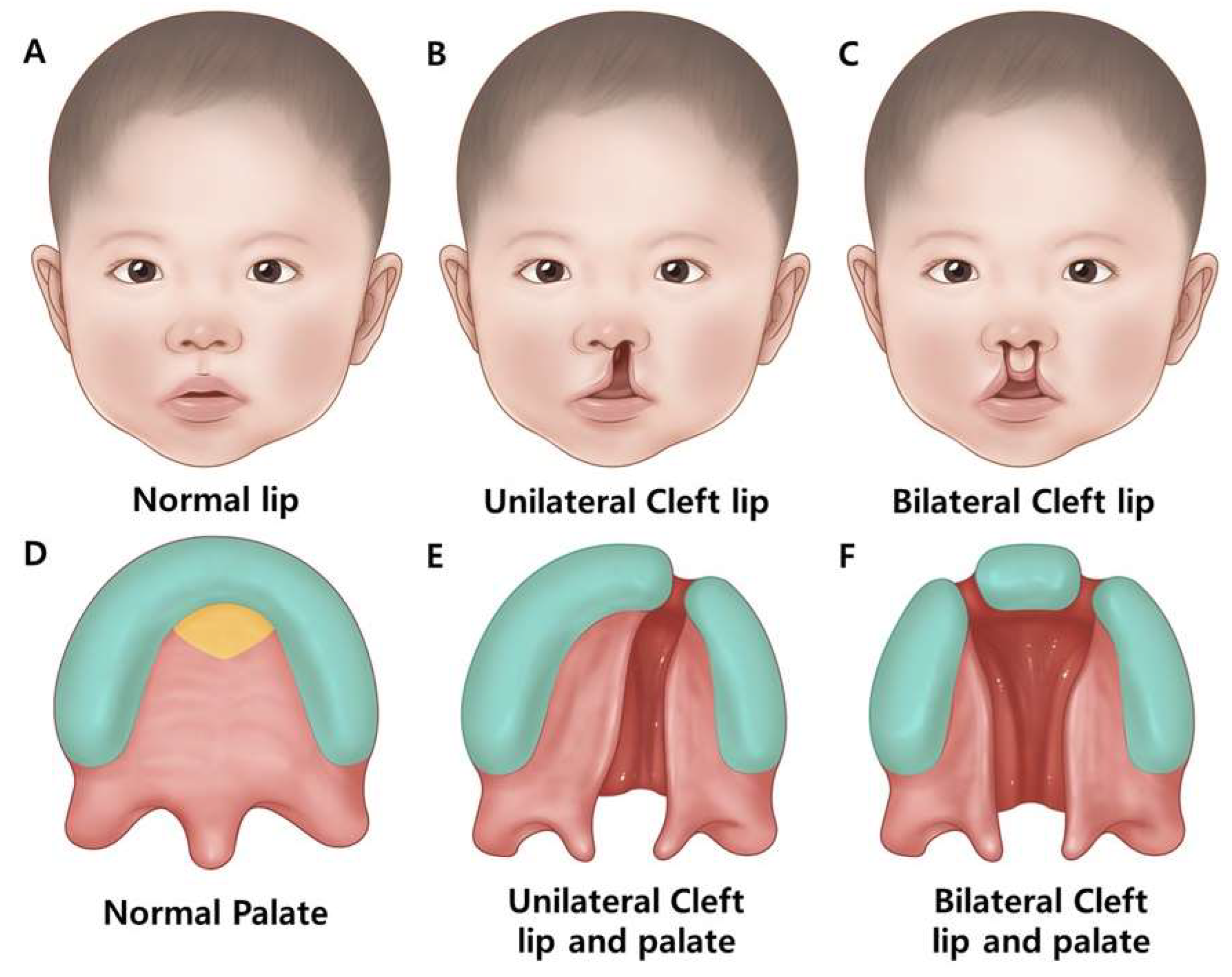 Preprints 146009 g002