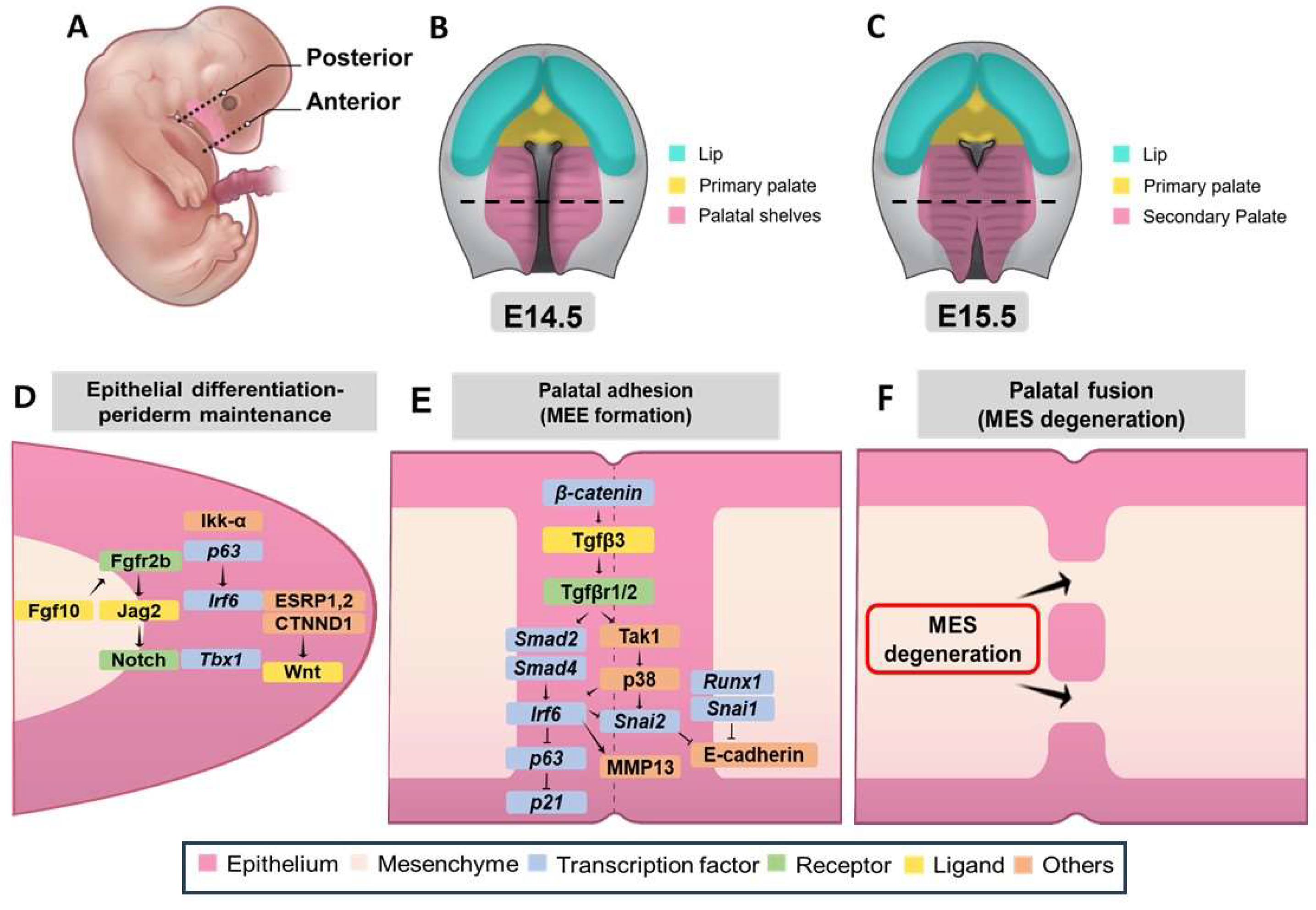 Preprints 146009 g004
