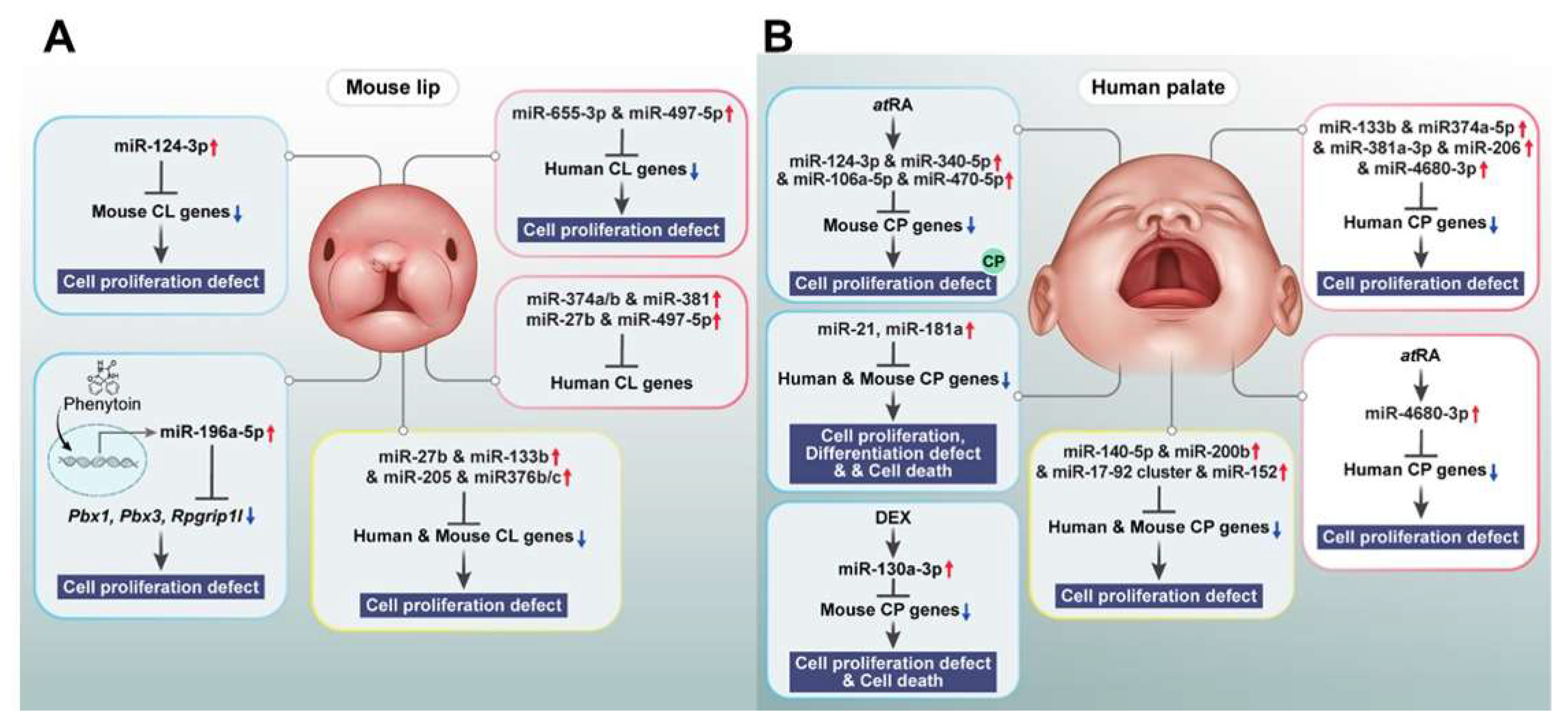 Preprints 146009 g006