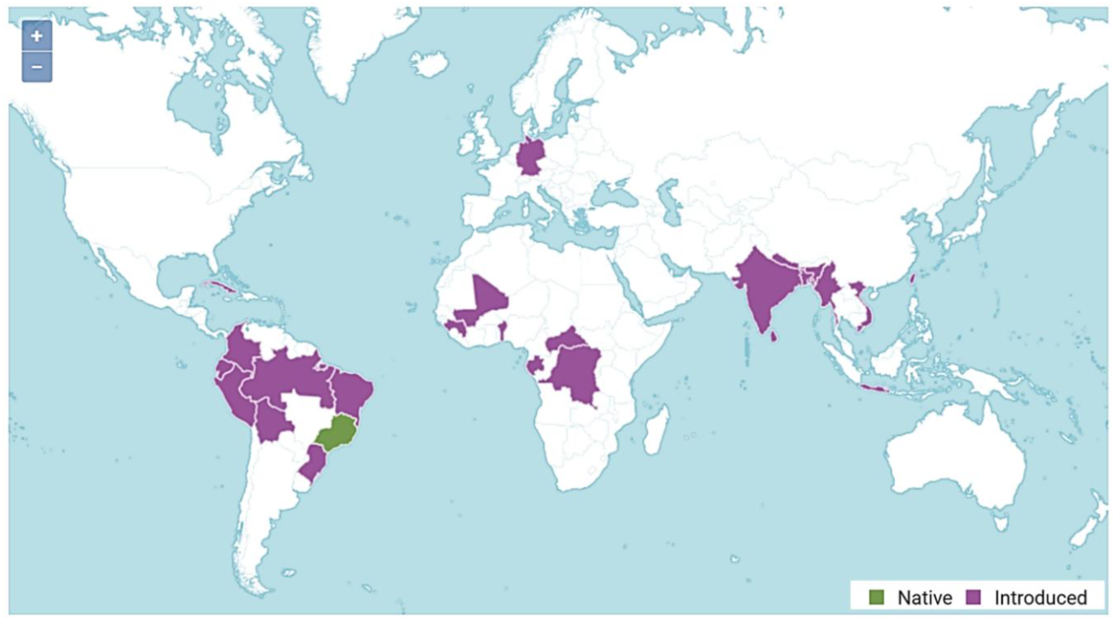 Preprints 194608 g002