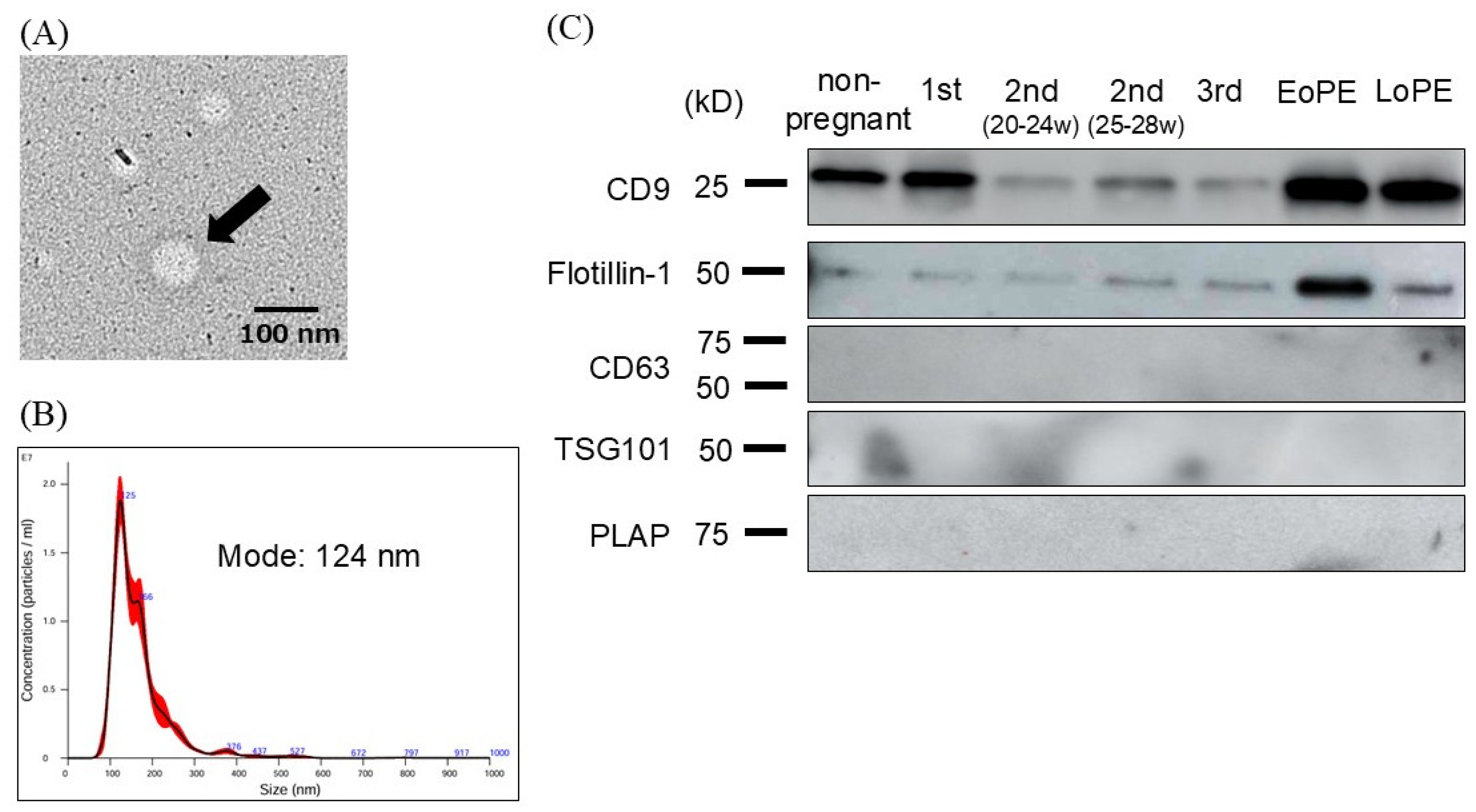 Preprints 179277 g001