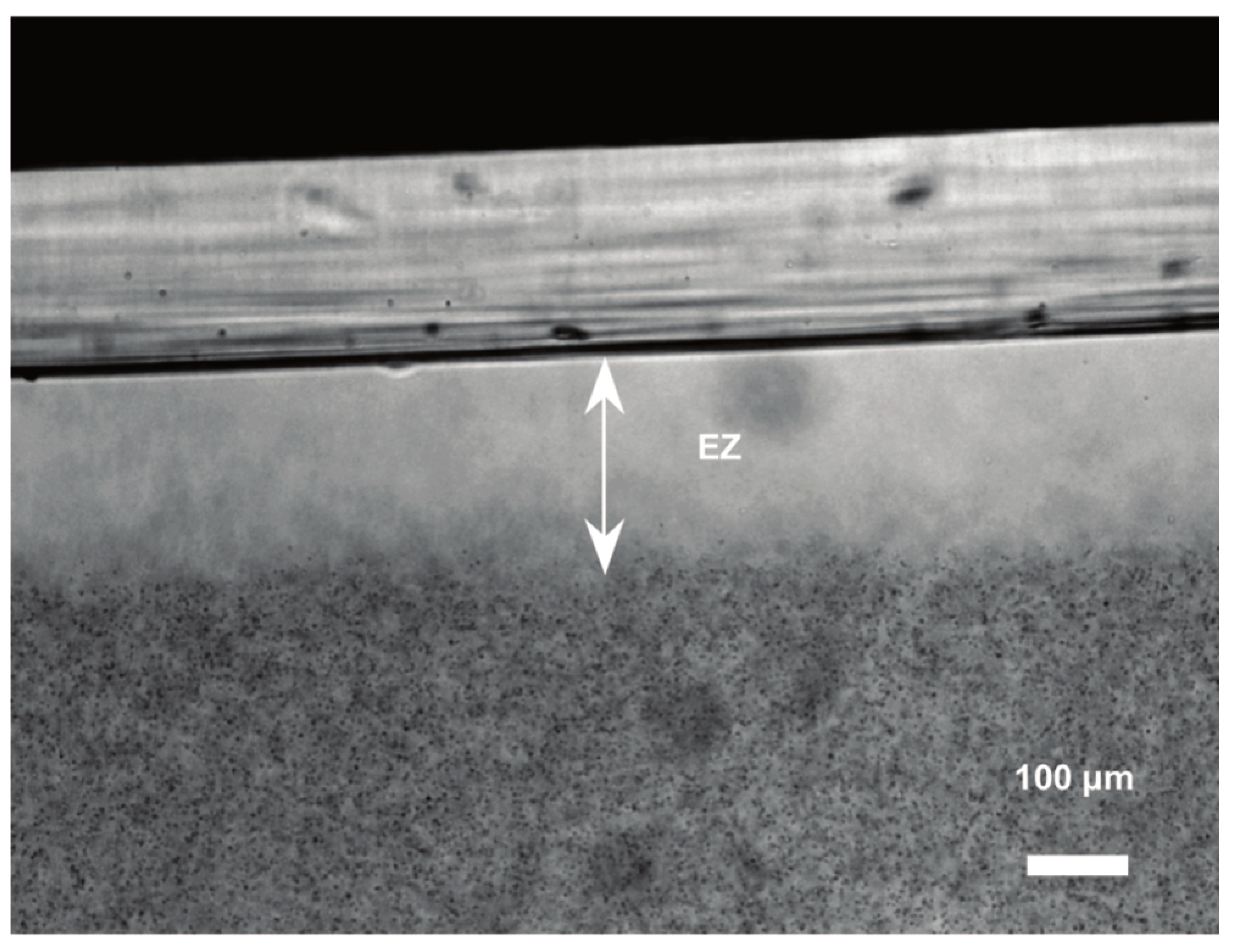 Preprints 165594 g001