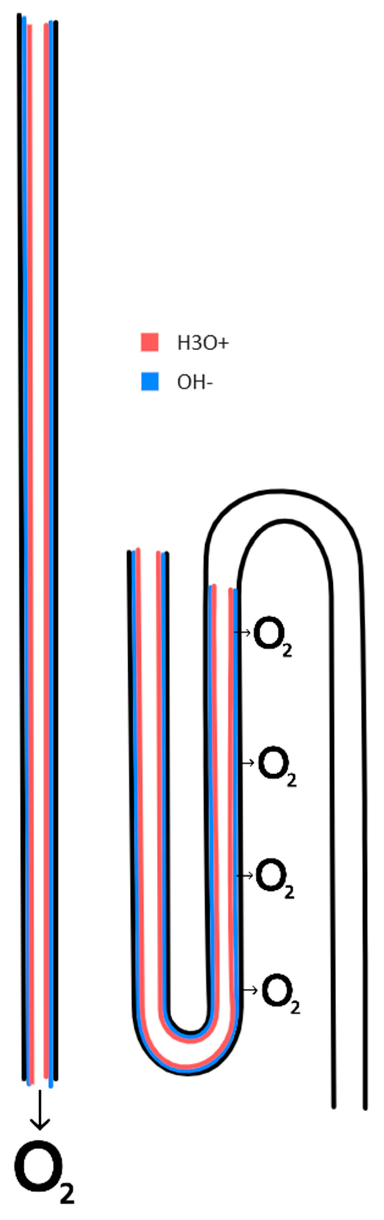 Preprints 165594 g005