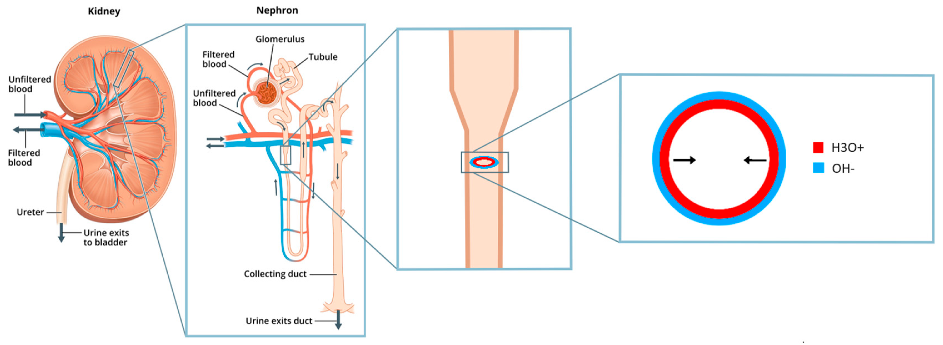 Preprints 165594 g006