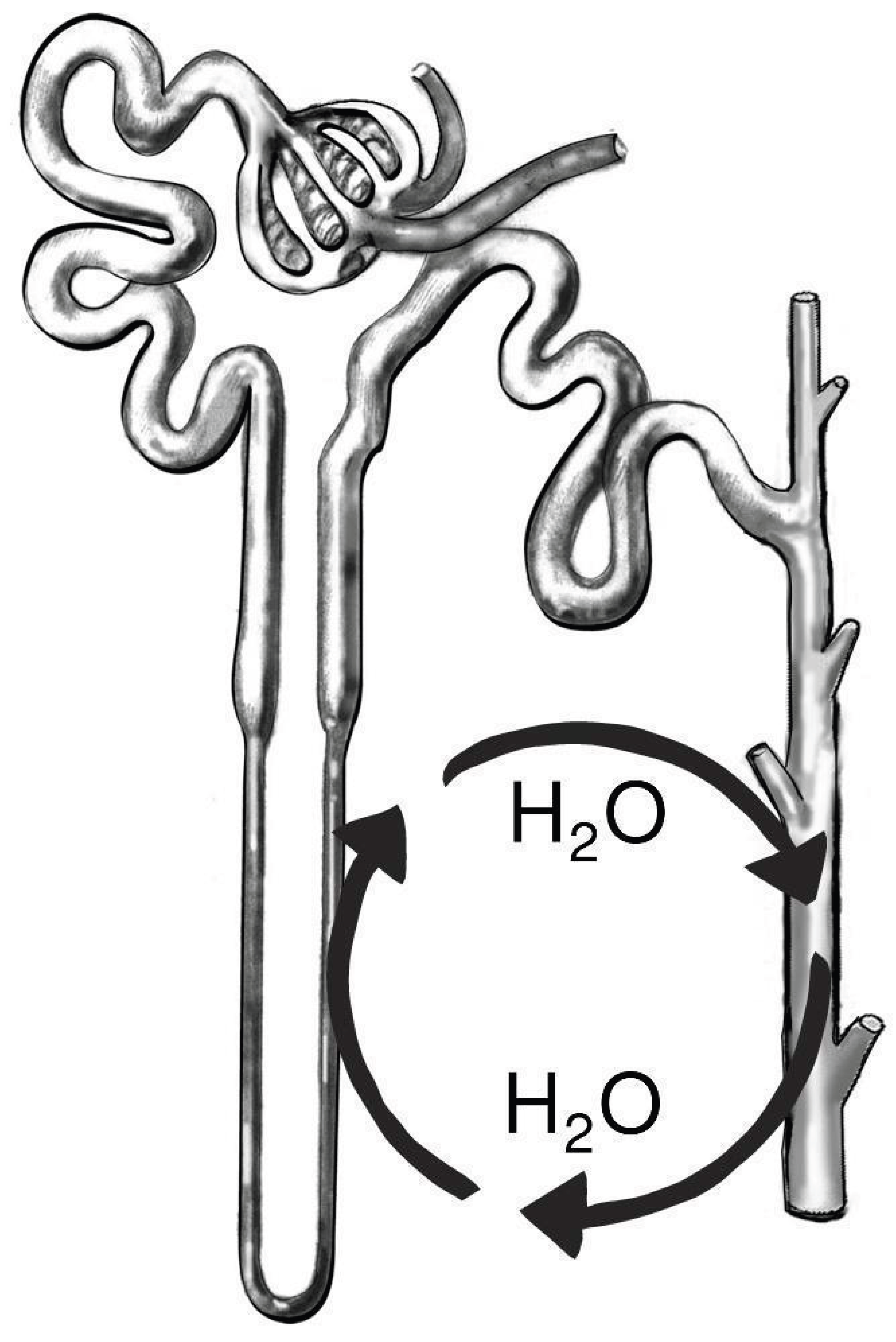 Preprints 165594 g007