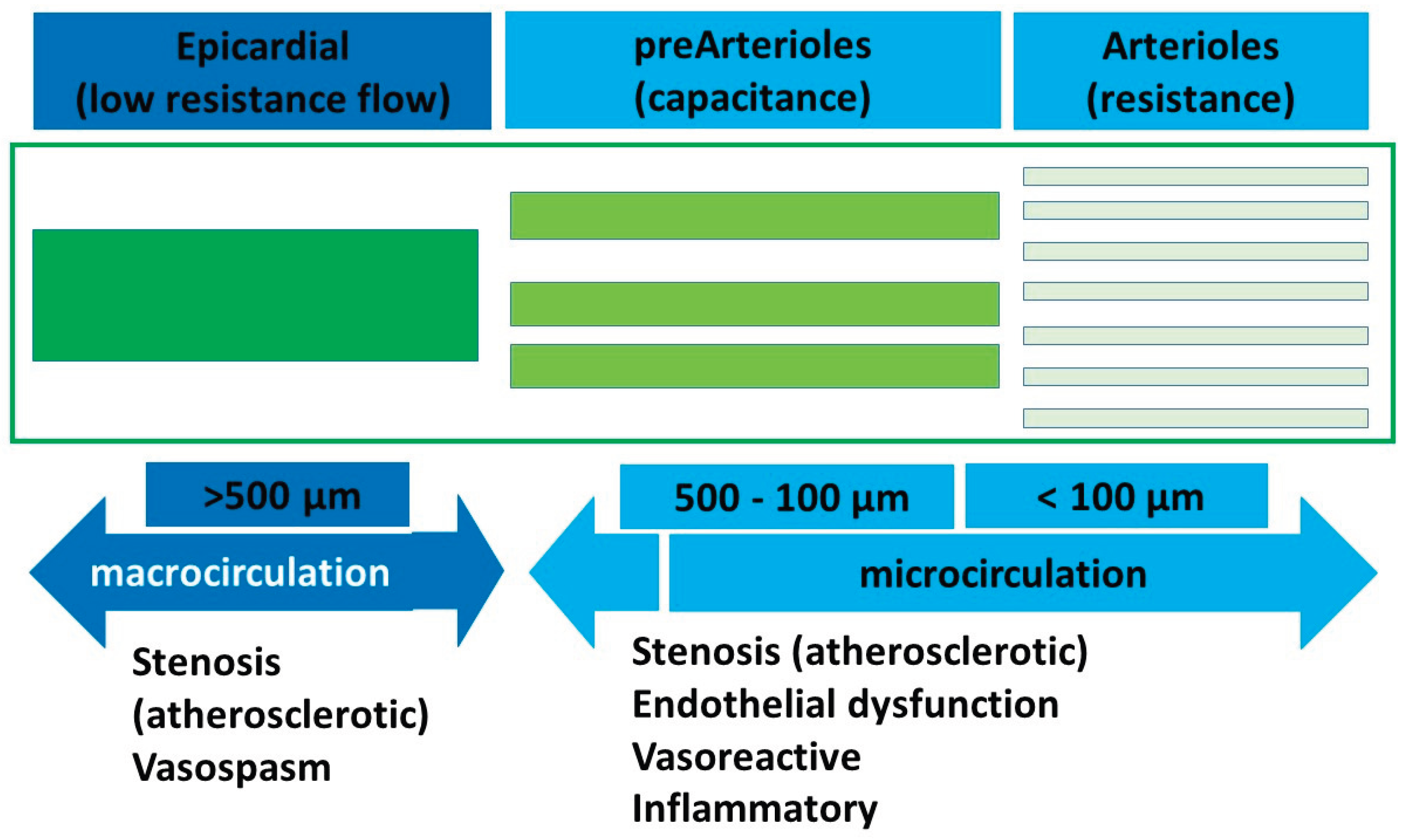 Preprints 175030 g001