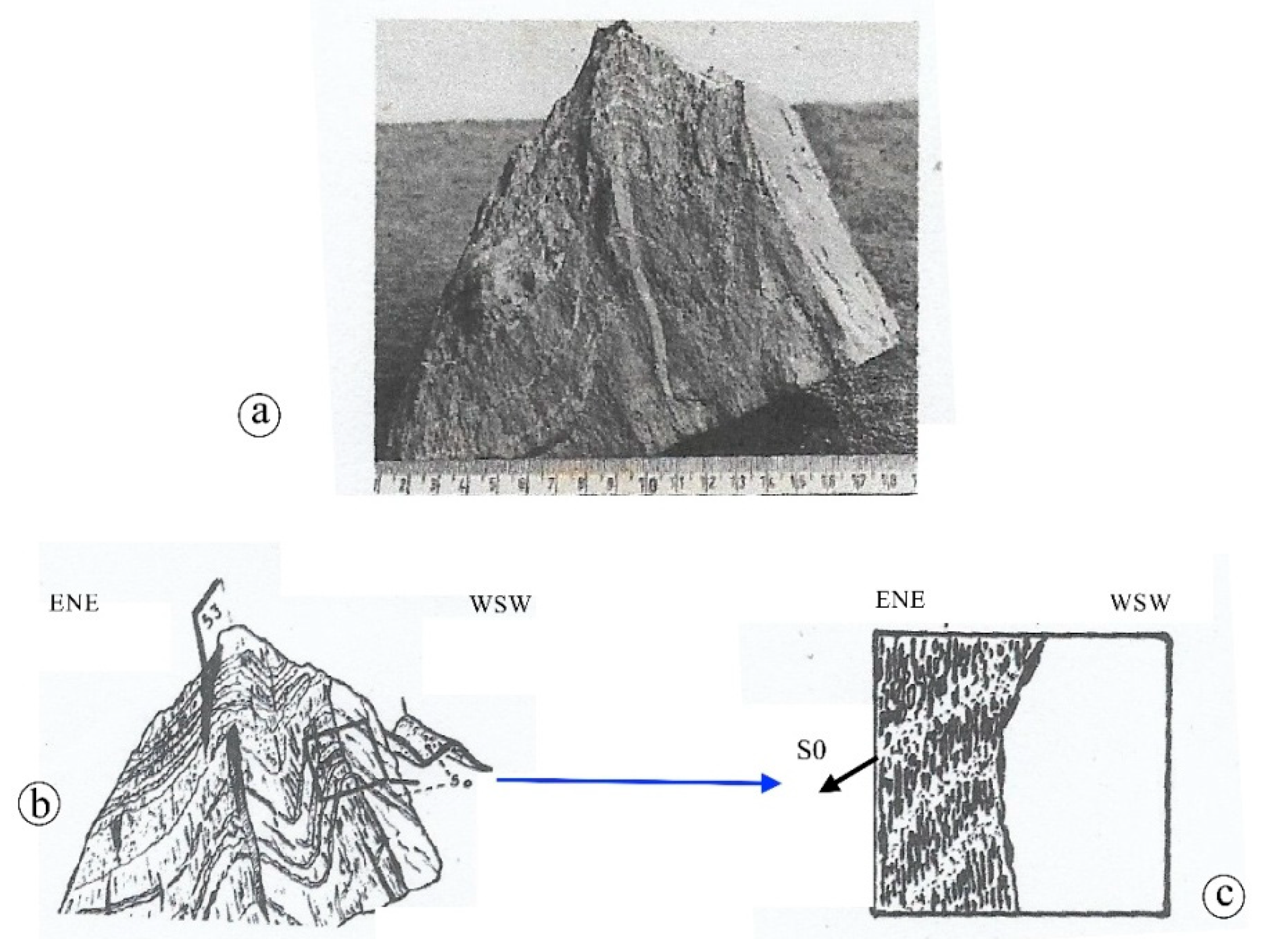 Preprints 182509 g006