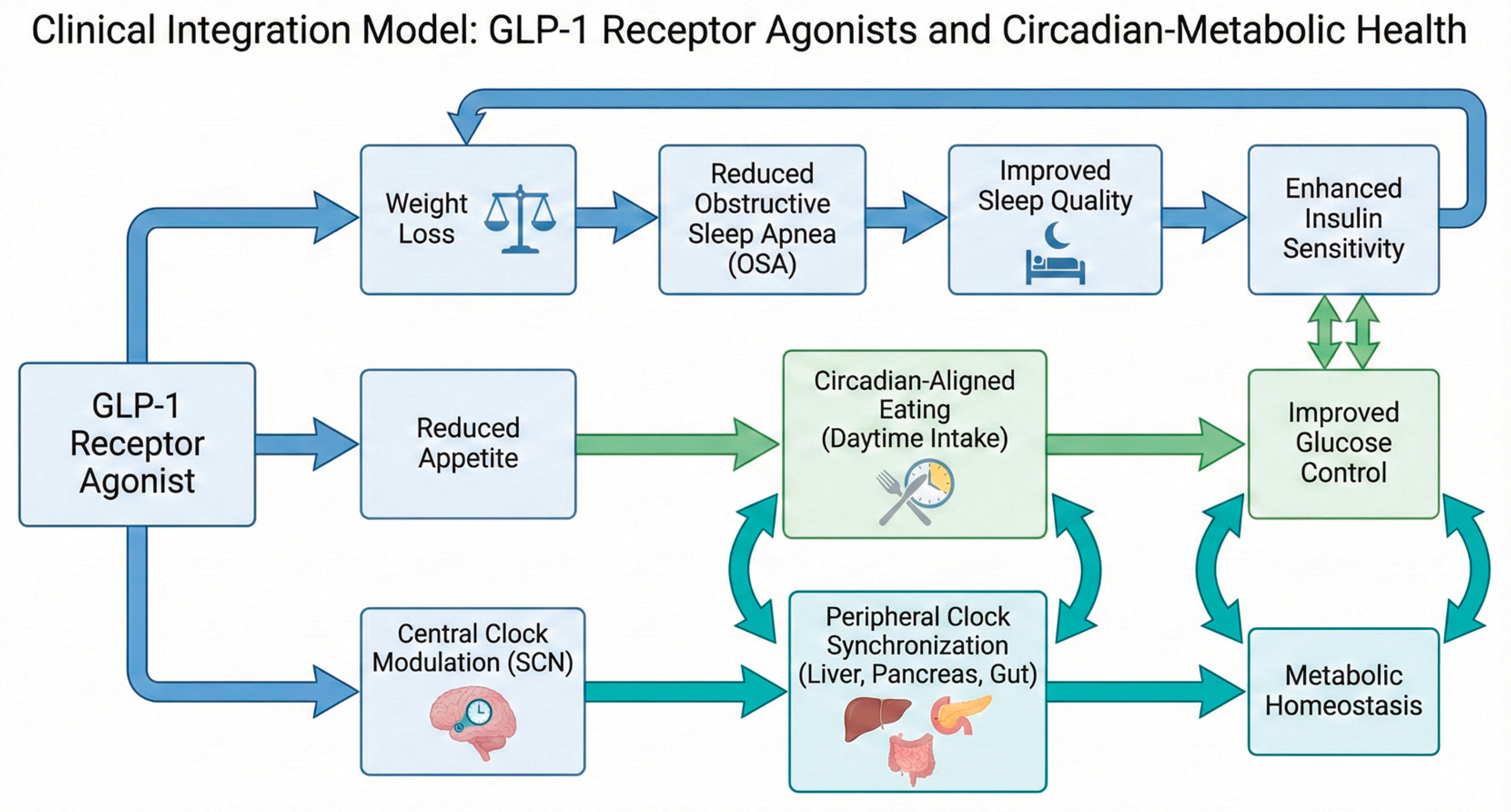 Preprints 199096 g002
