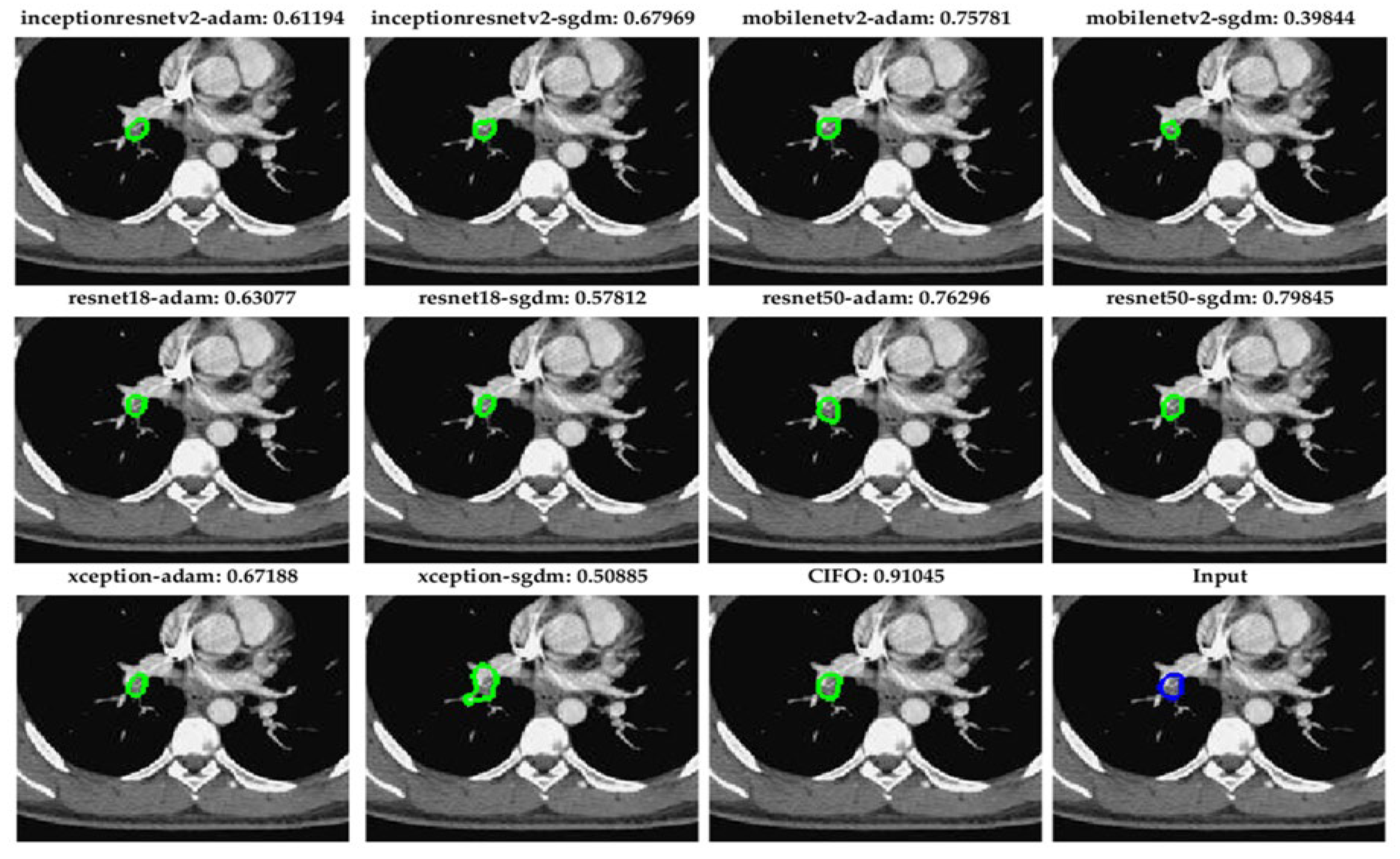 Preprints 172957 g006
