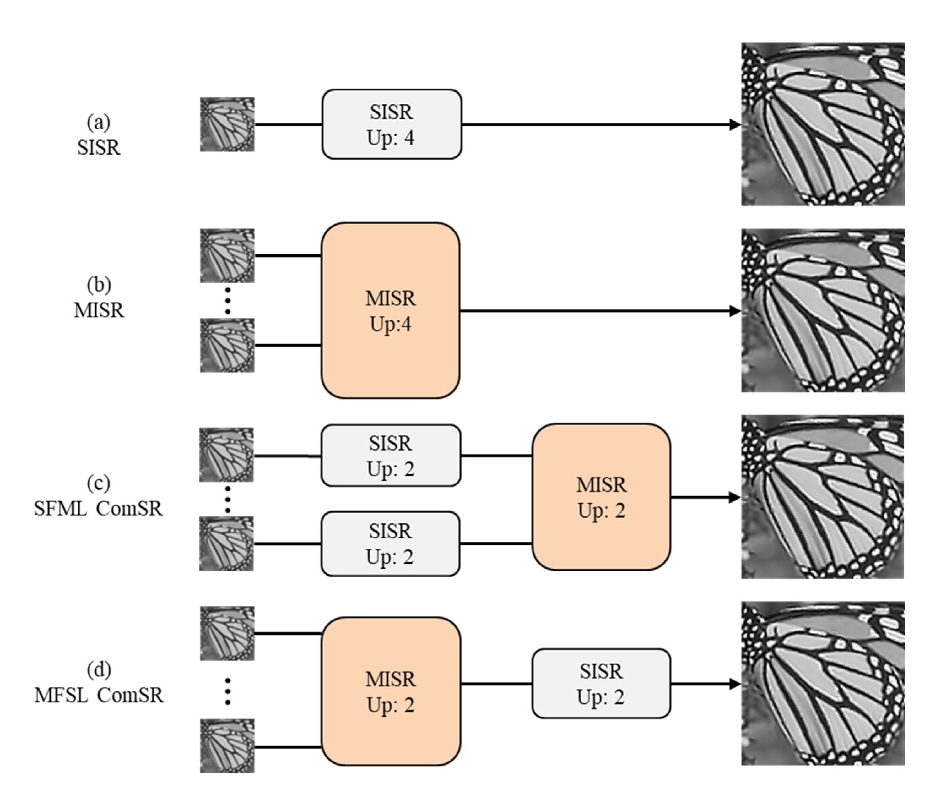 Preprints 114131 g001