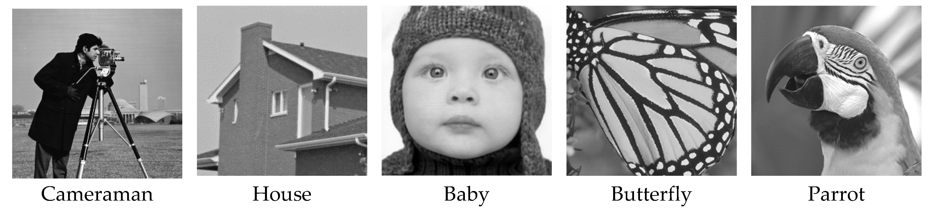 Preprints 114131 g007