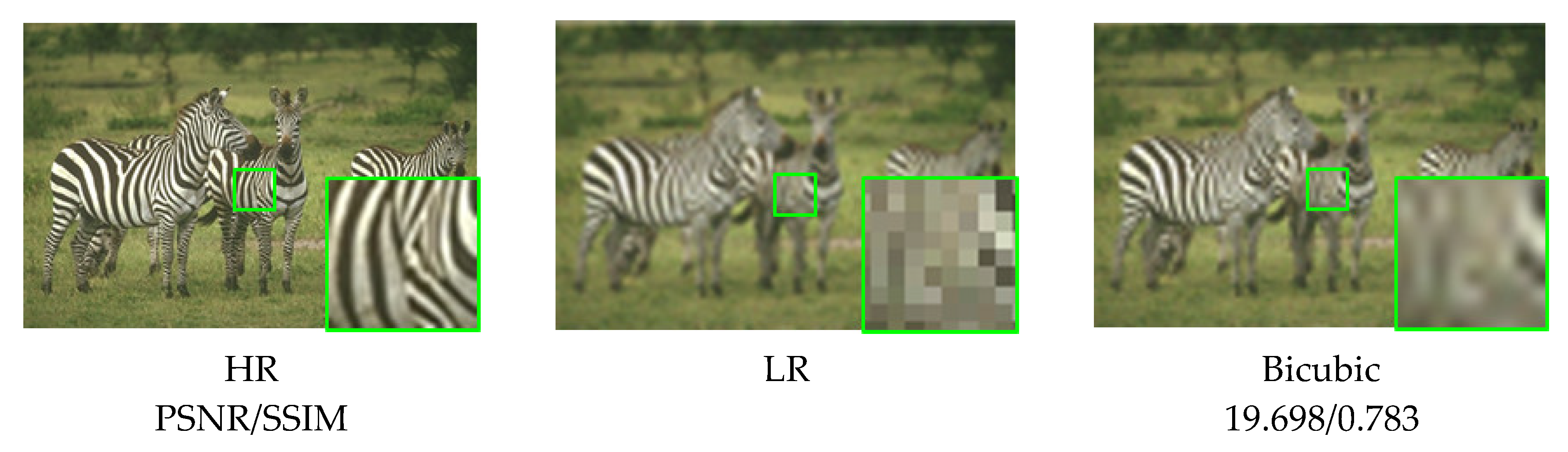 Preprints 114131 g010a