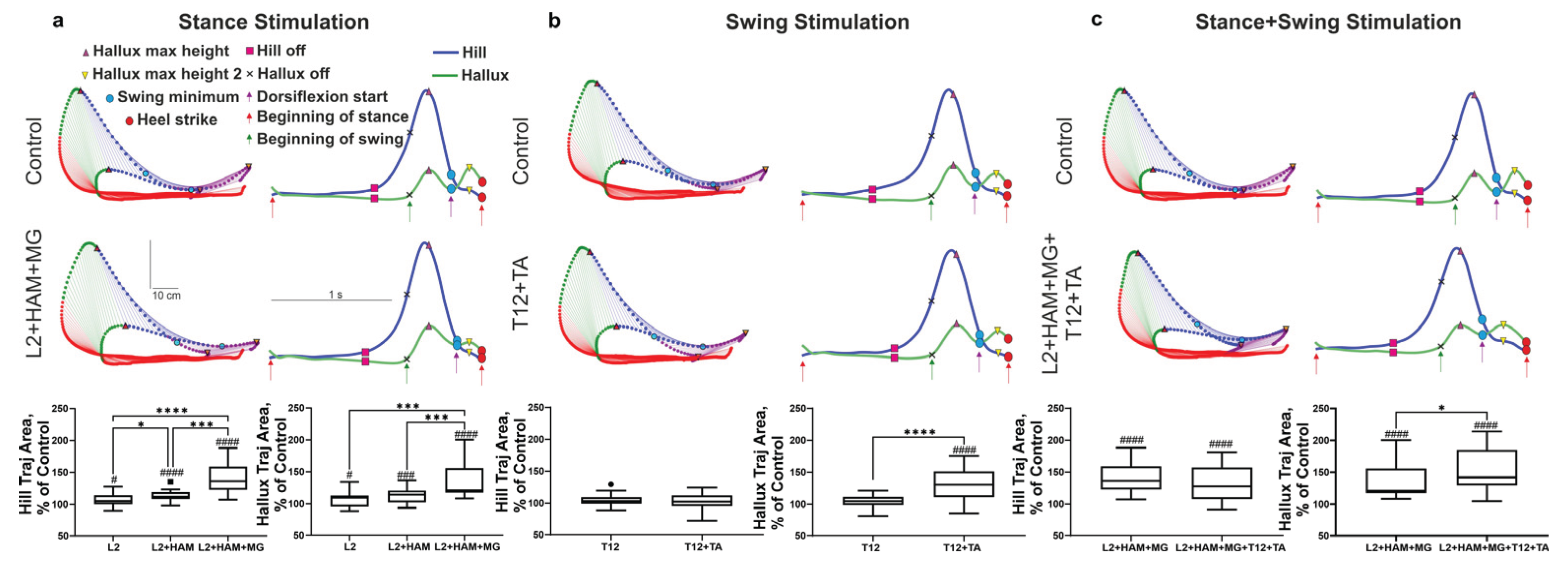 Preprints 191913 g004