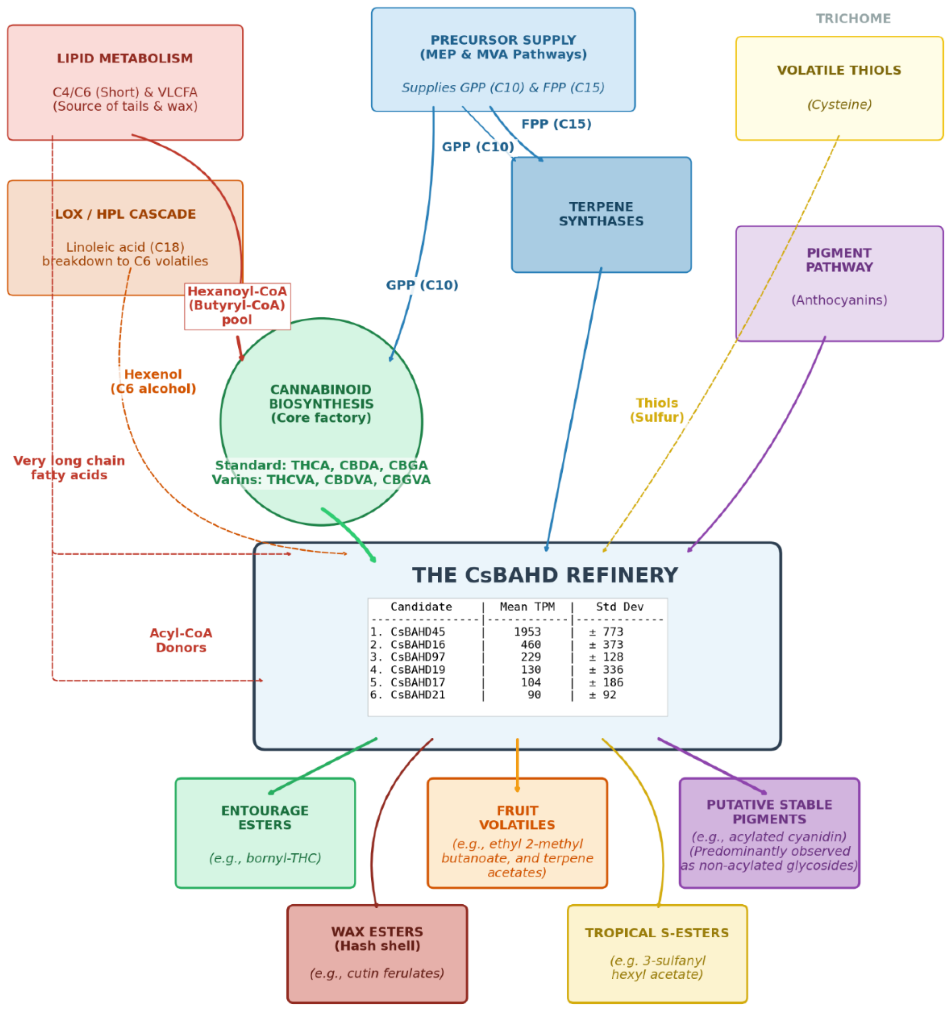 Preprints 198492 g010