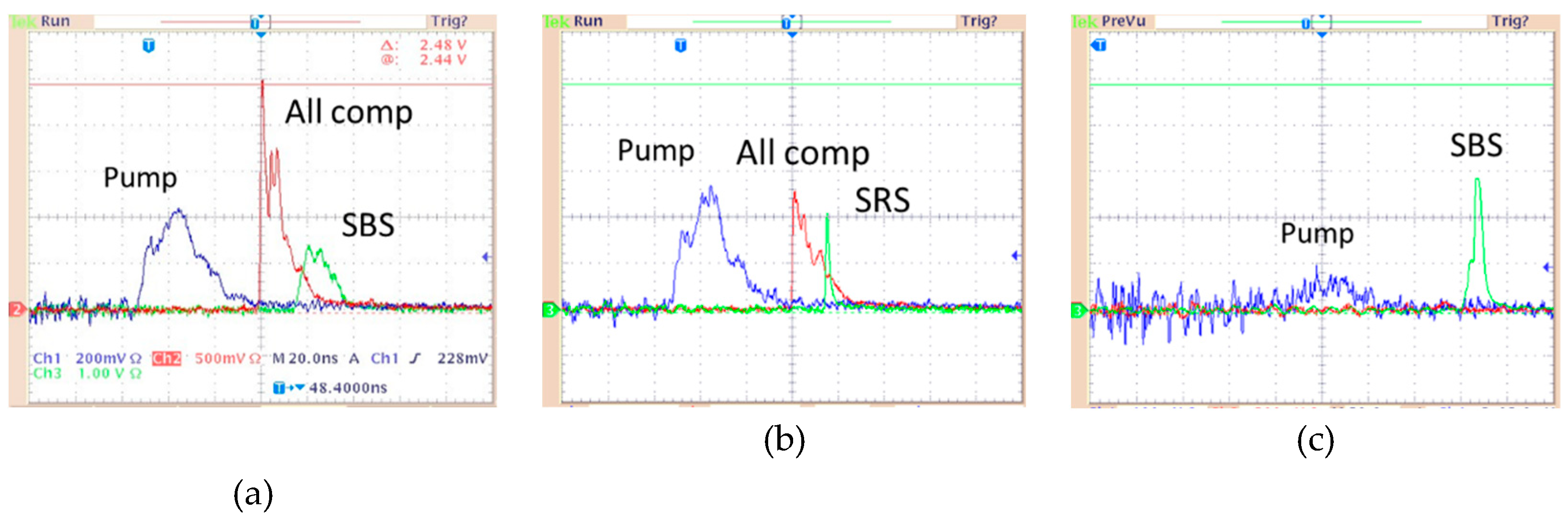 Preprints 92049 g003