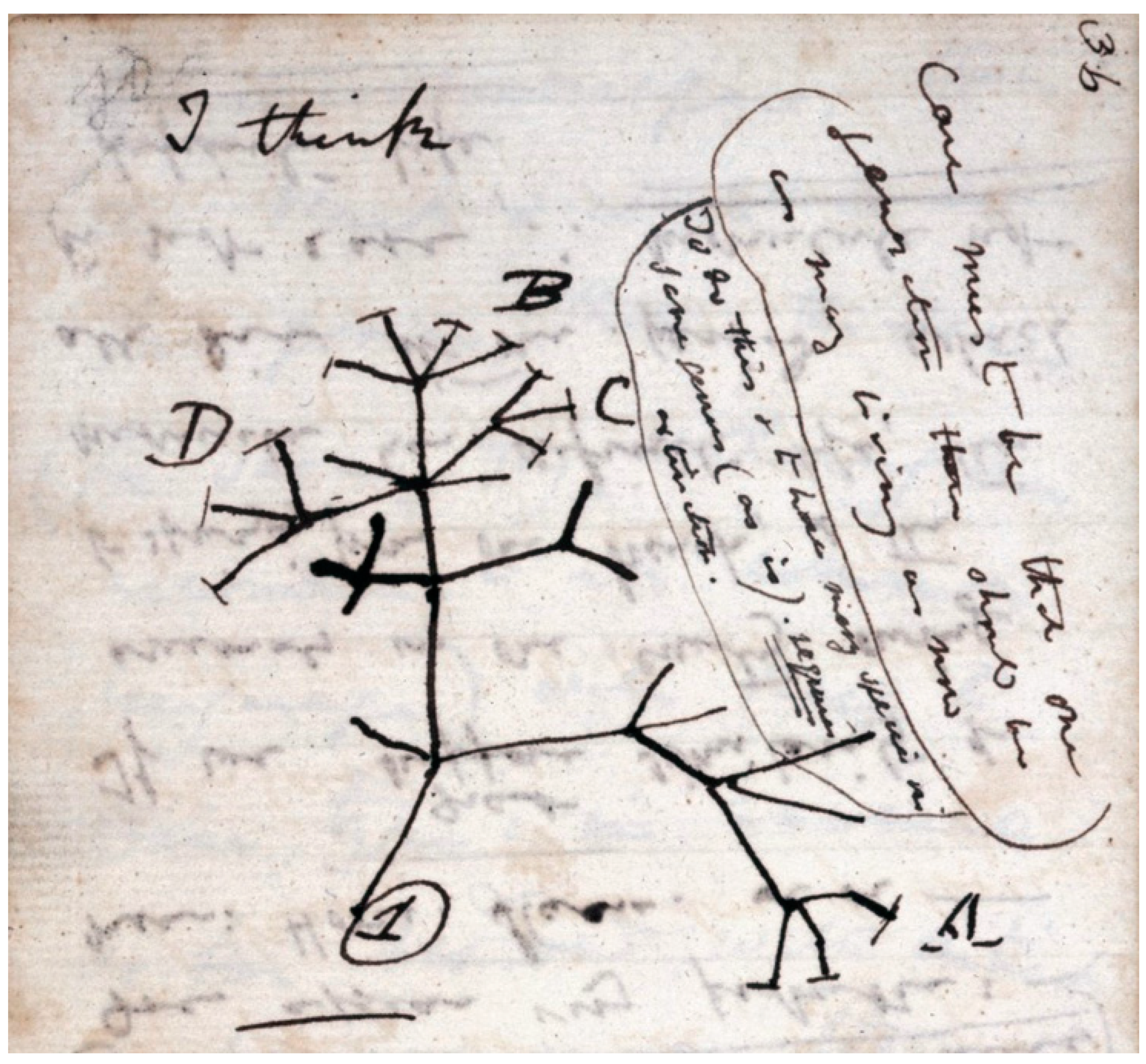 Preprints 91512 g001