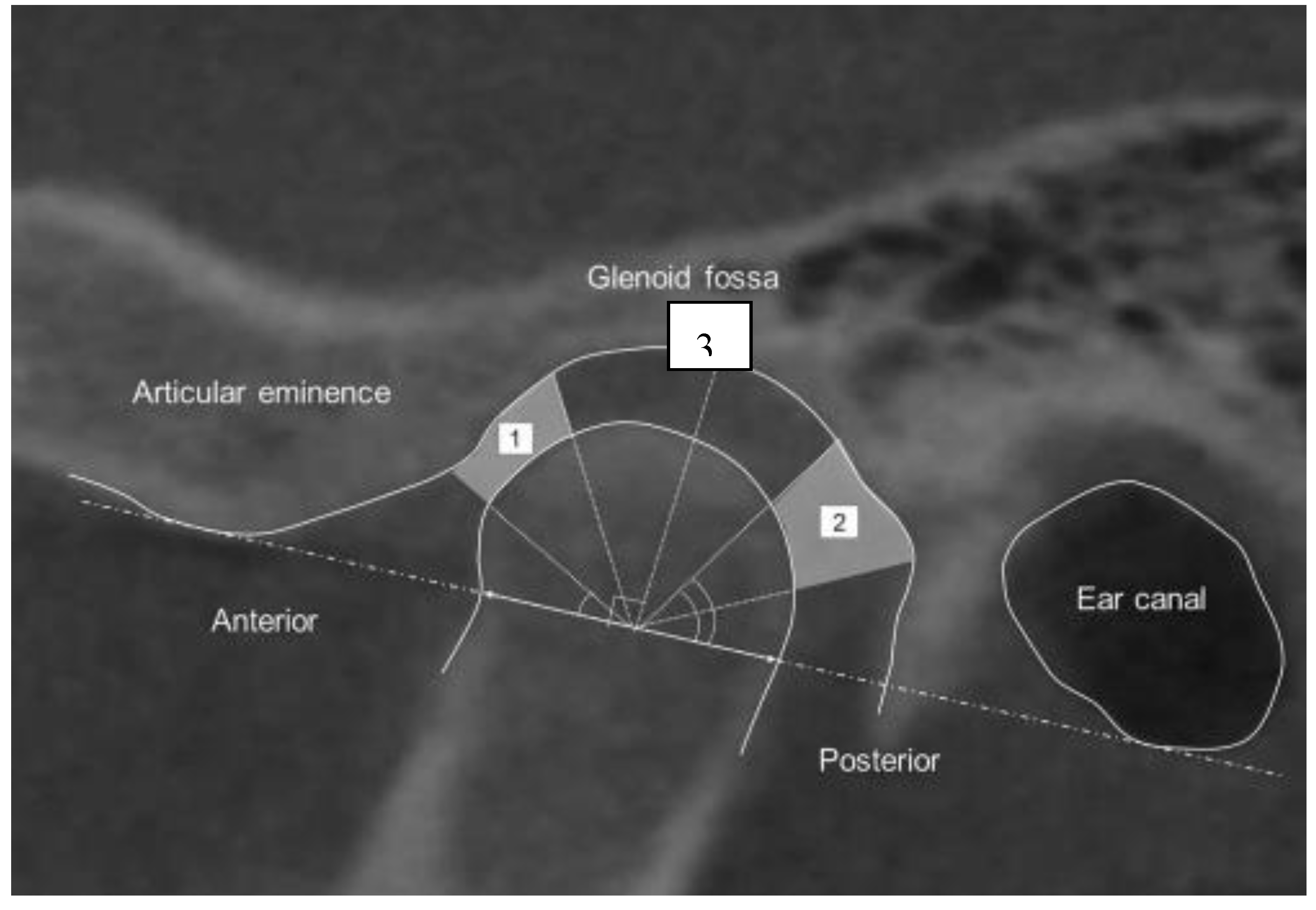Preprints 103586 g001