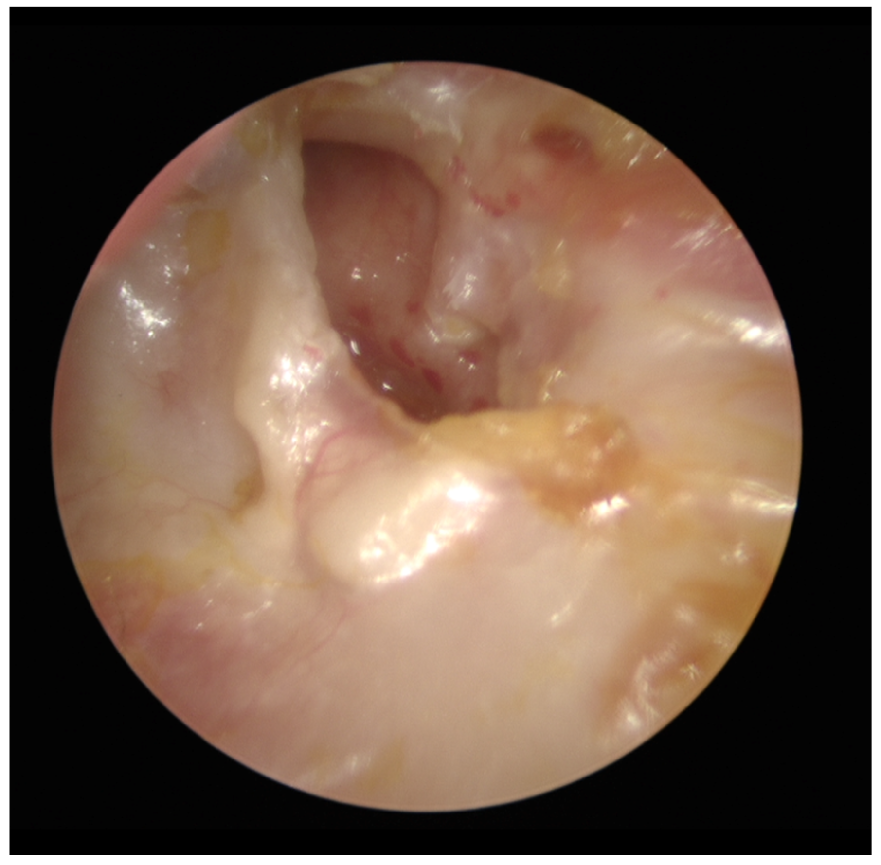 Preprints 176009 g001