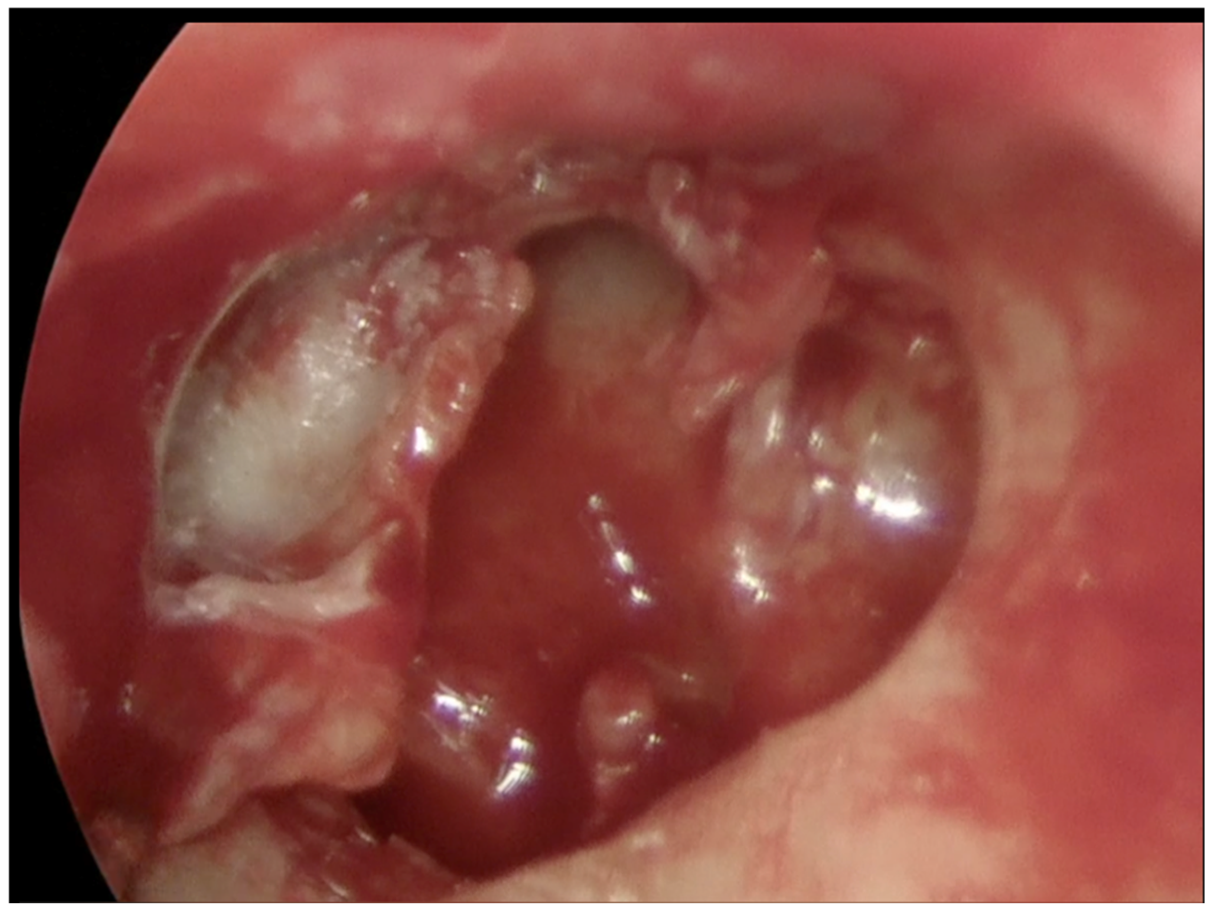 Preprints 176009 g003