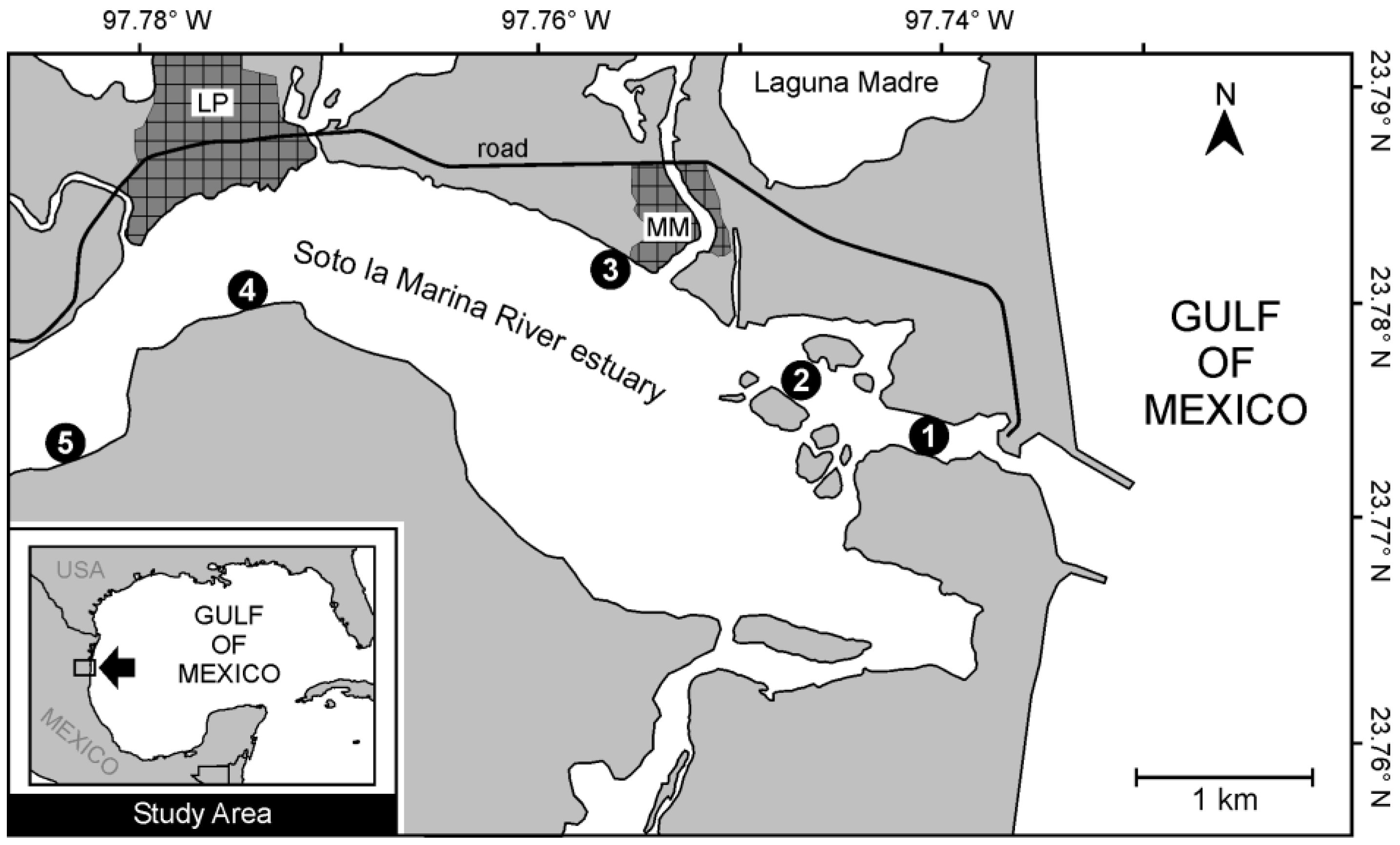 Preprints 144070 g001