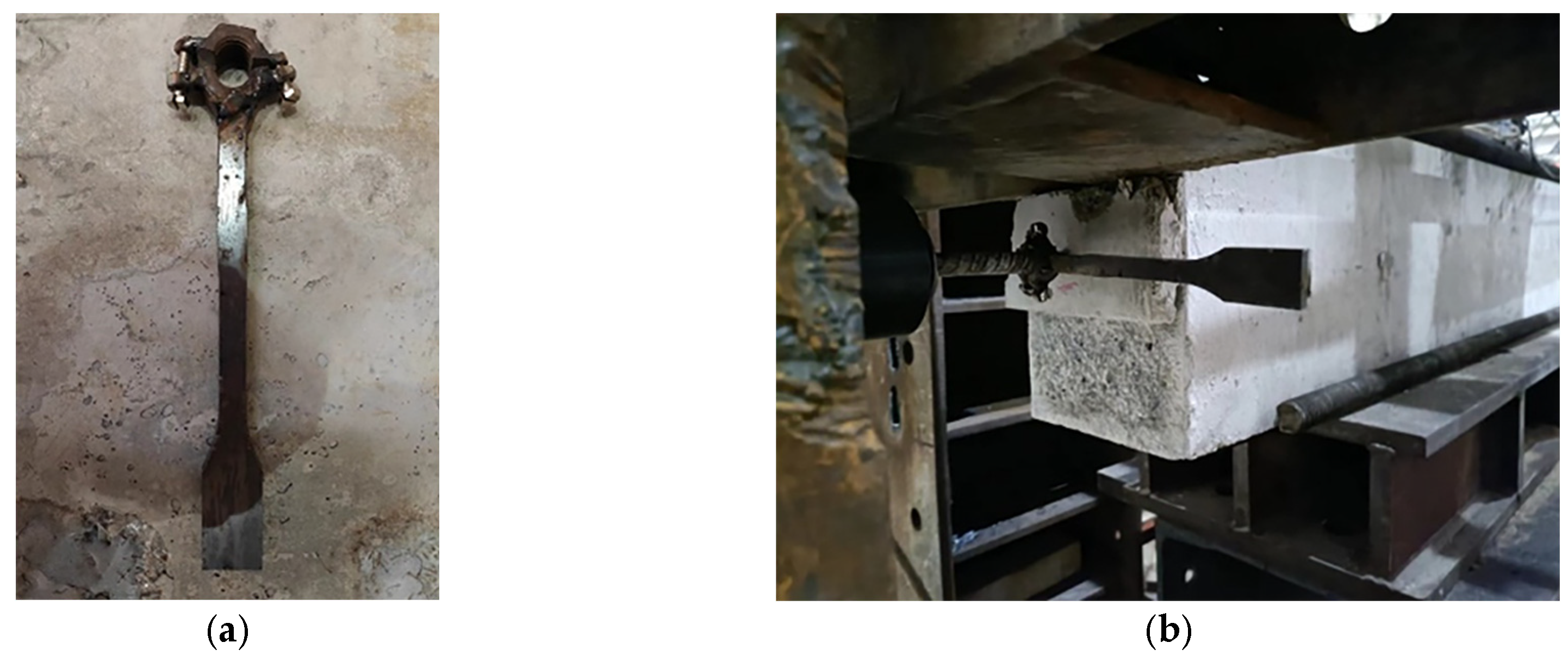 Preprints 177683 g006