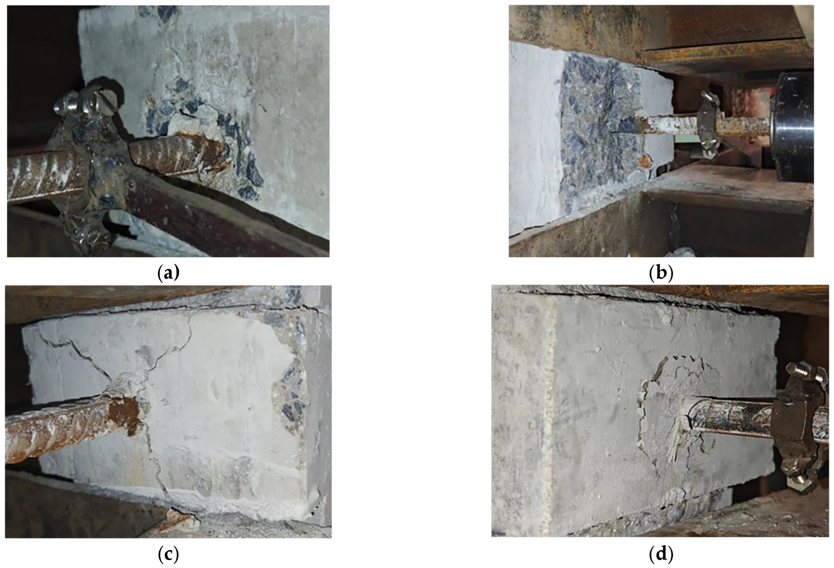 Preprints 177683 g009a