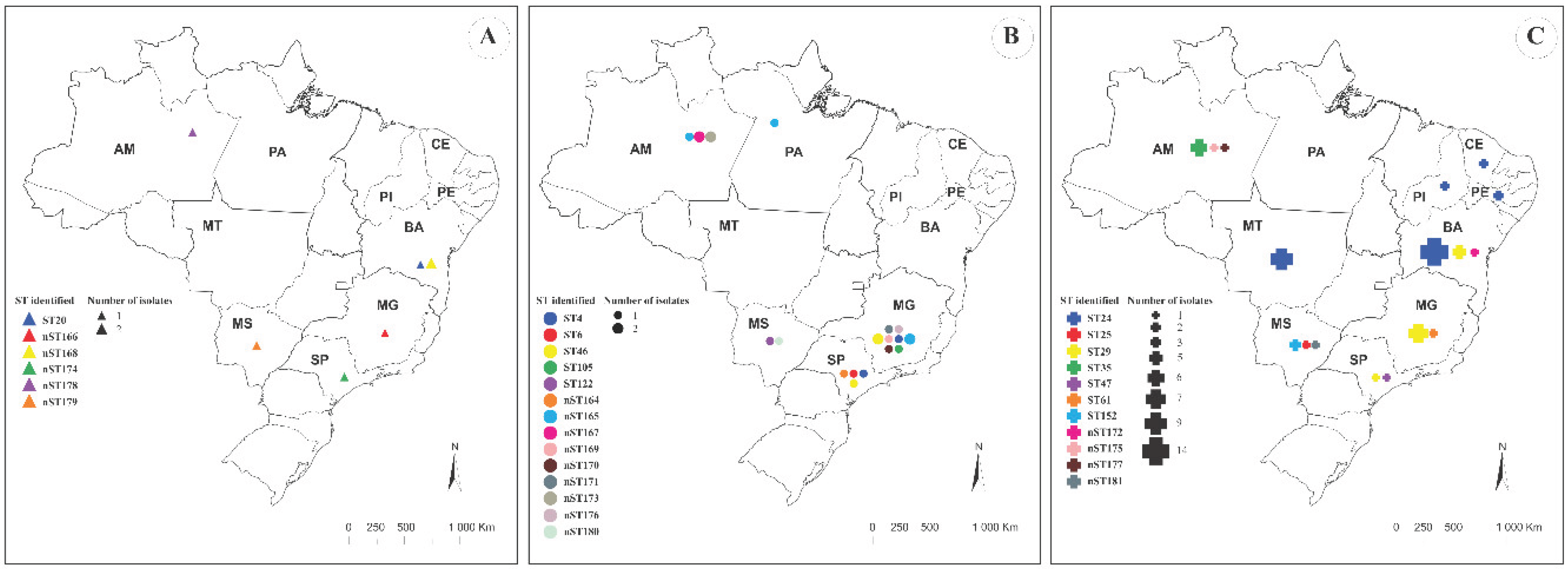 Preprints 198074 g001