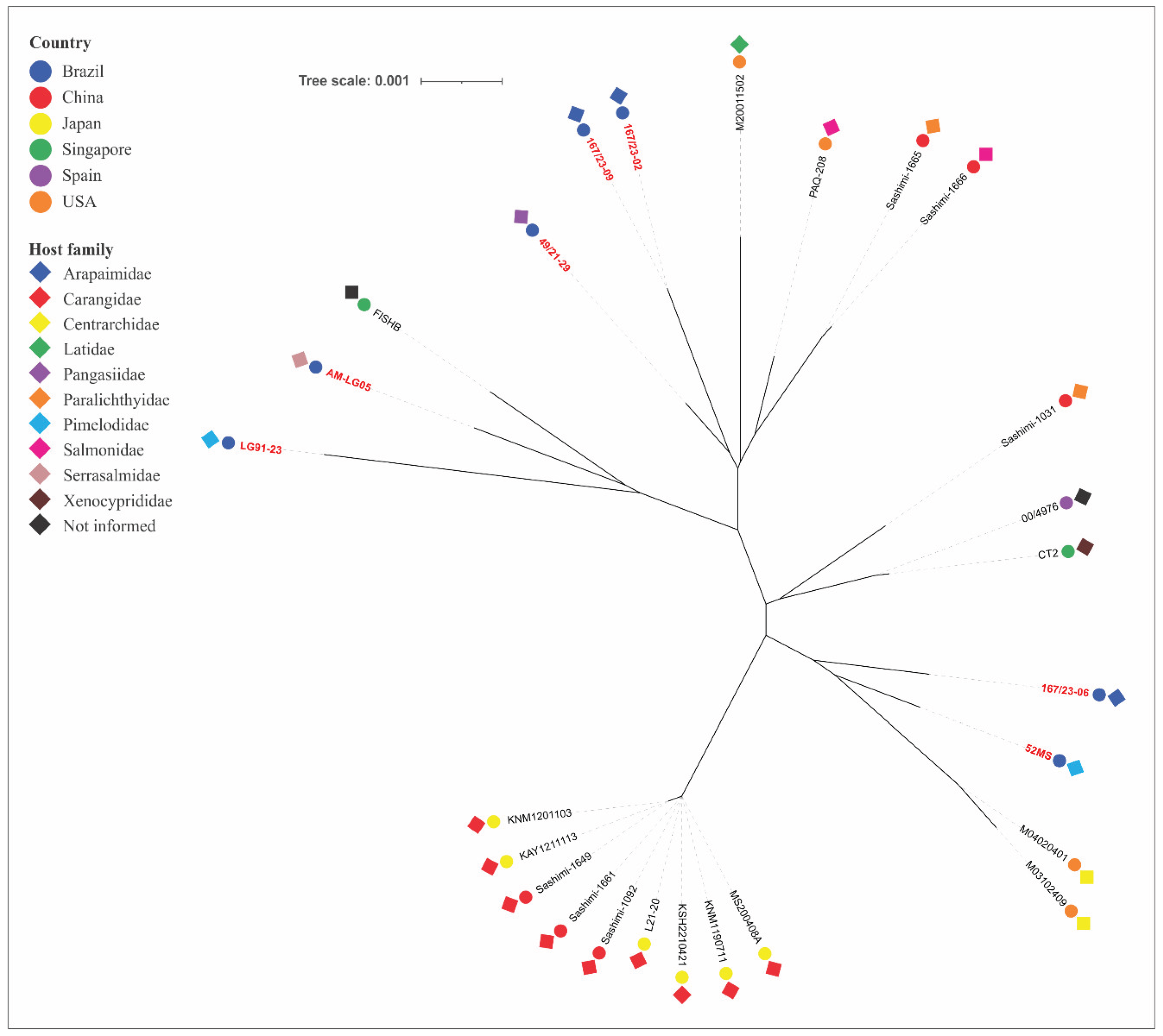 Preprints 198074 g003