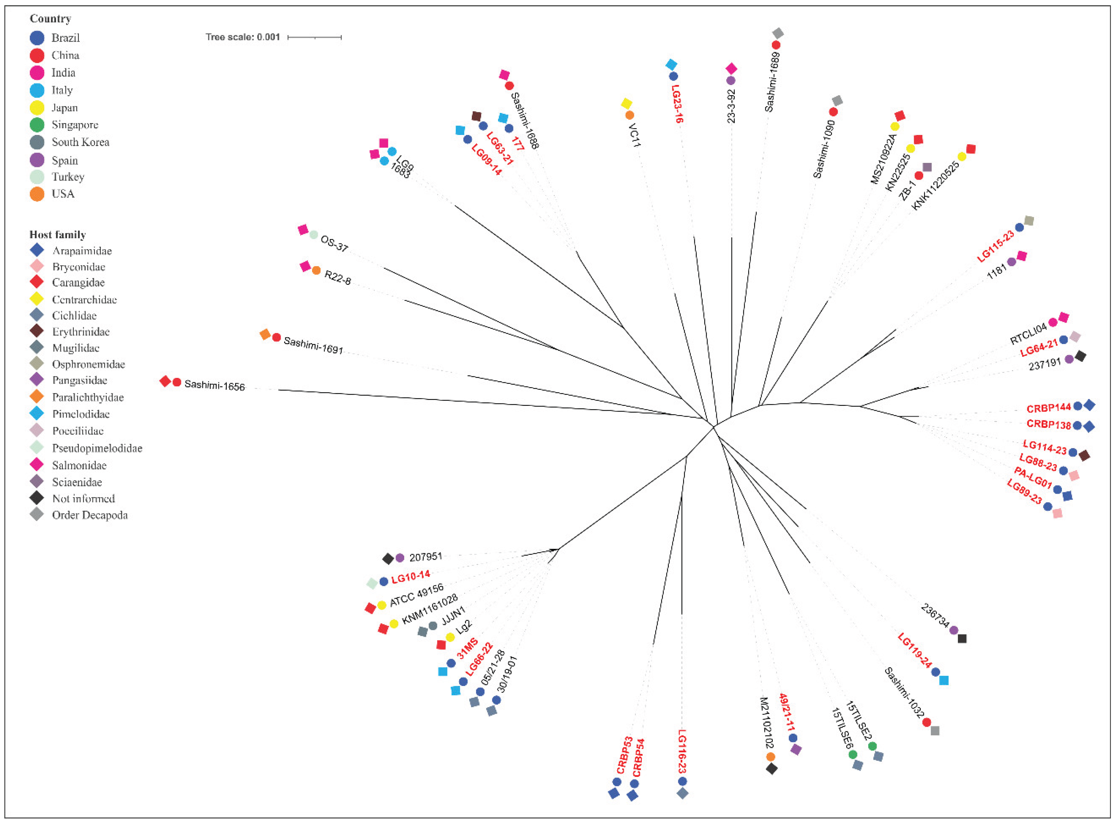Preprints 198074 g004