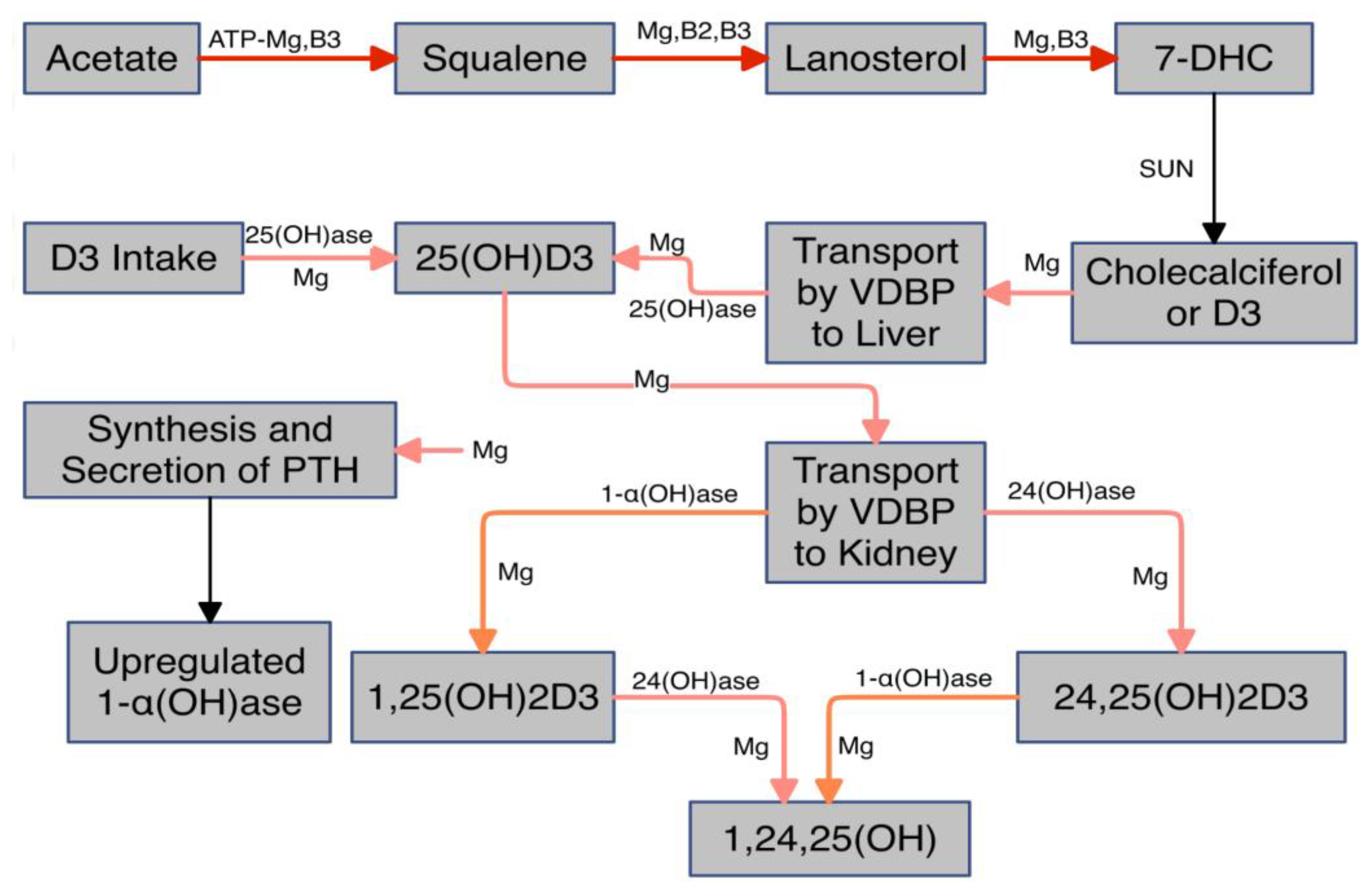 Preprints 146774 g001