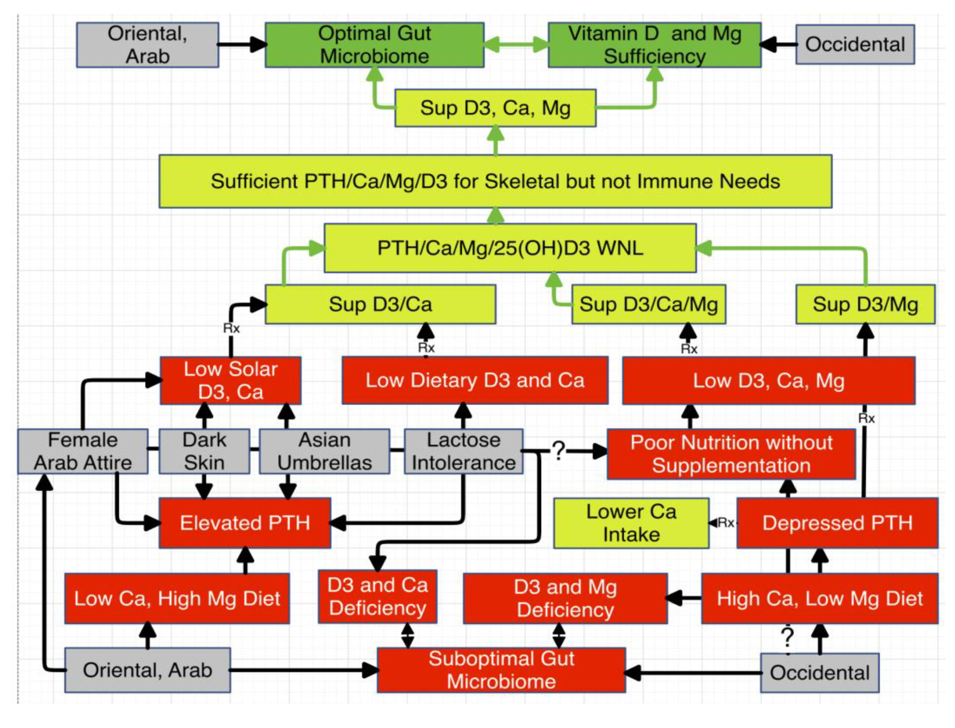Preprints 146774 g007