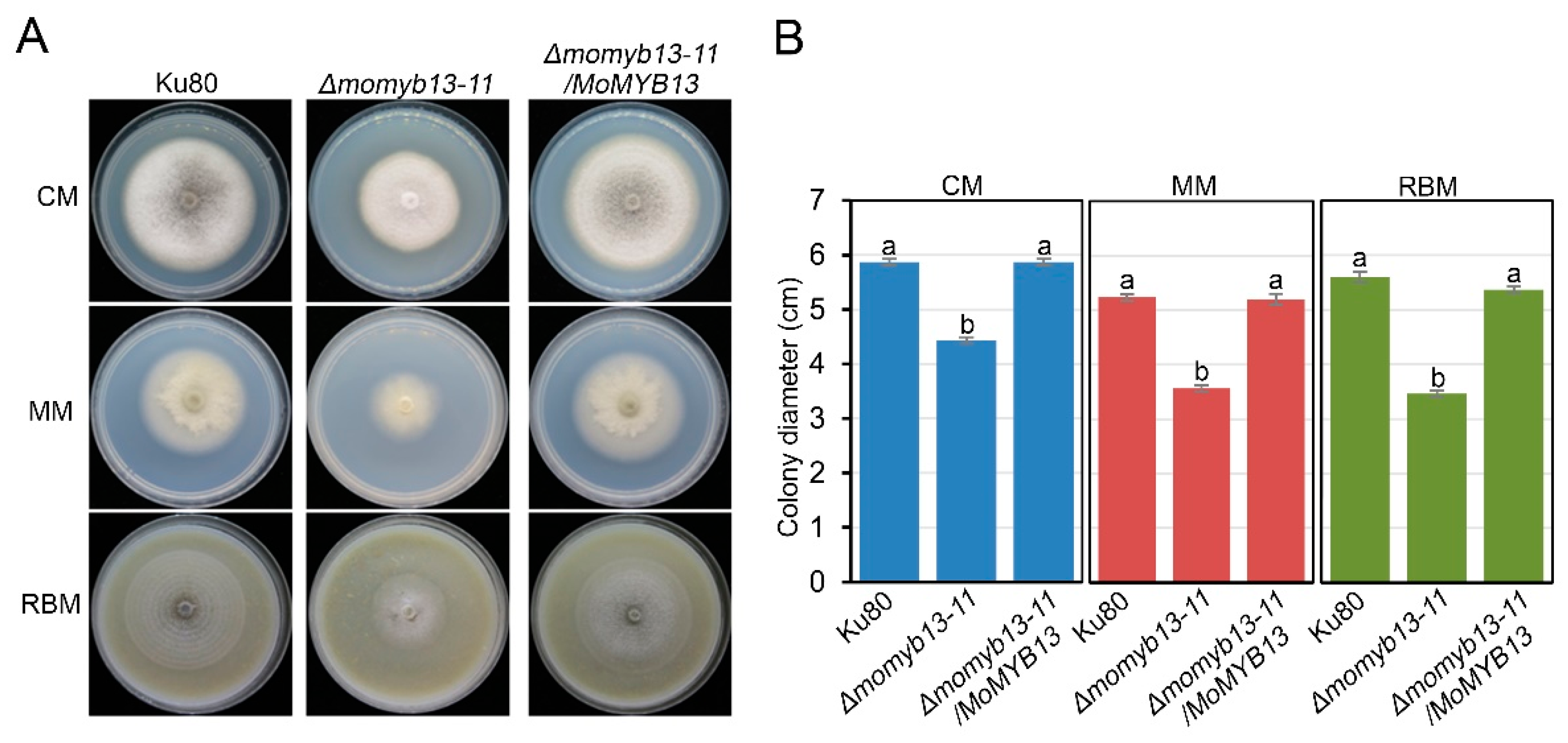 Preprints 95255 g003