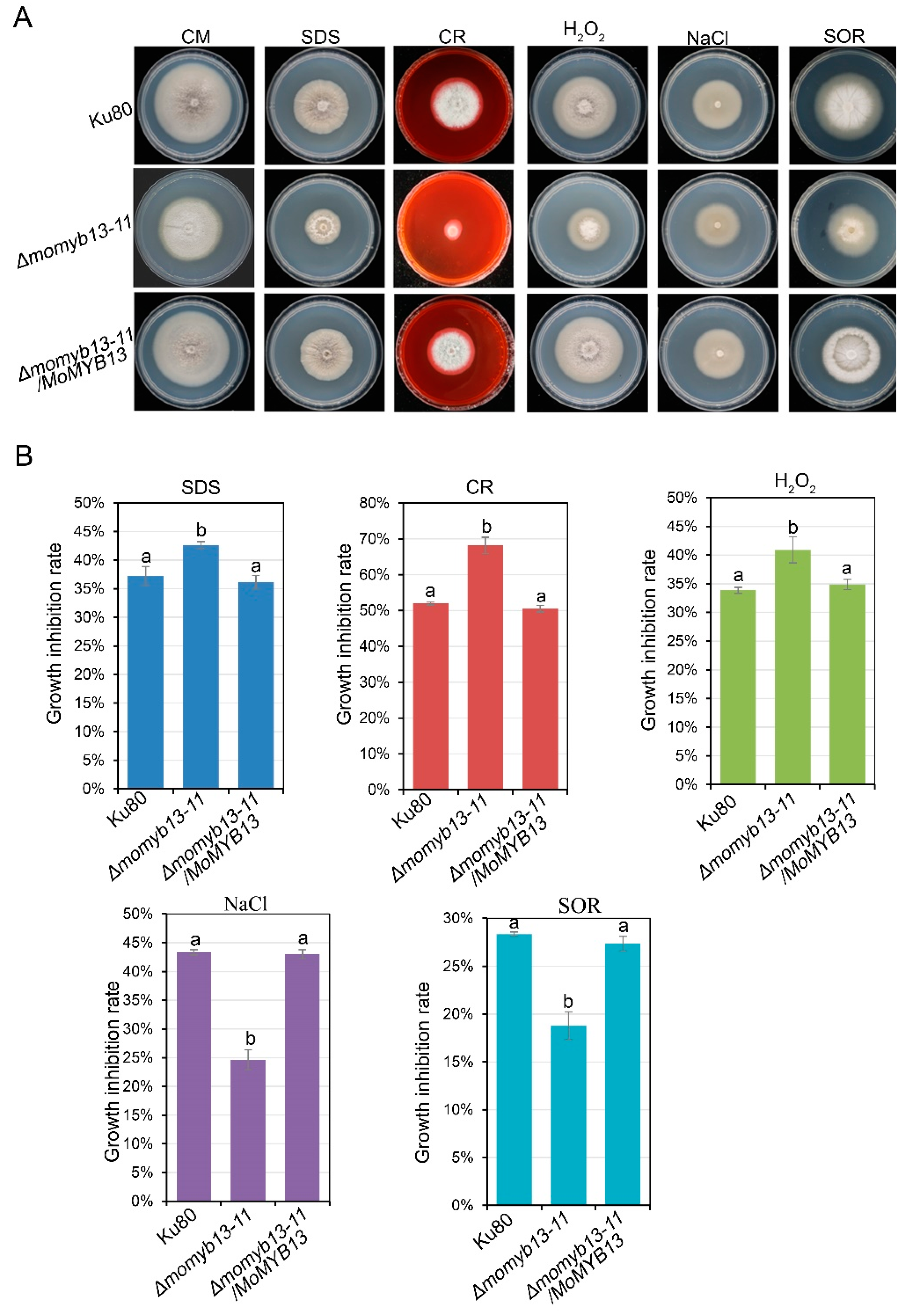 Preprints 95255 g007