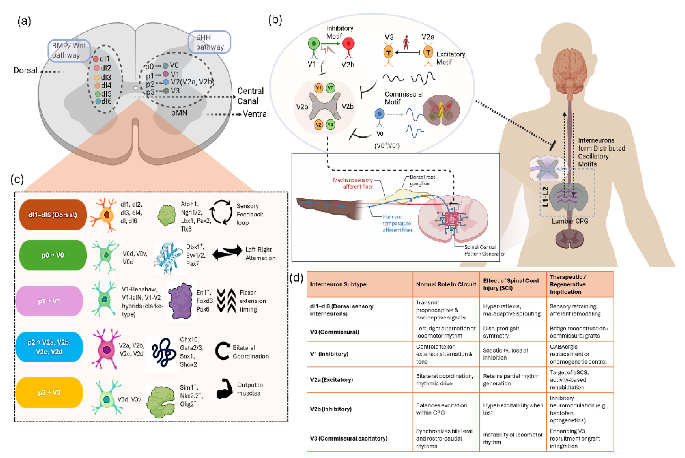 Preprints 189176 g001