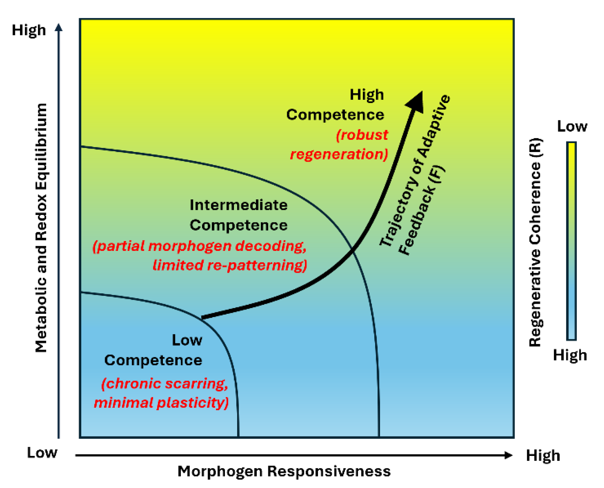 Preprints 189176 g003