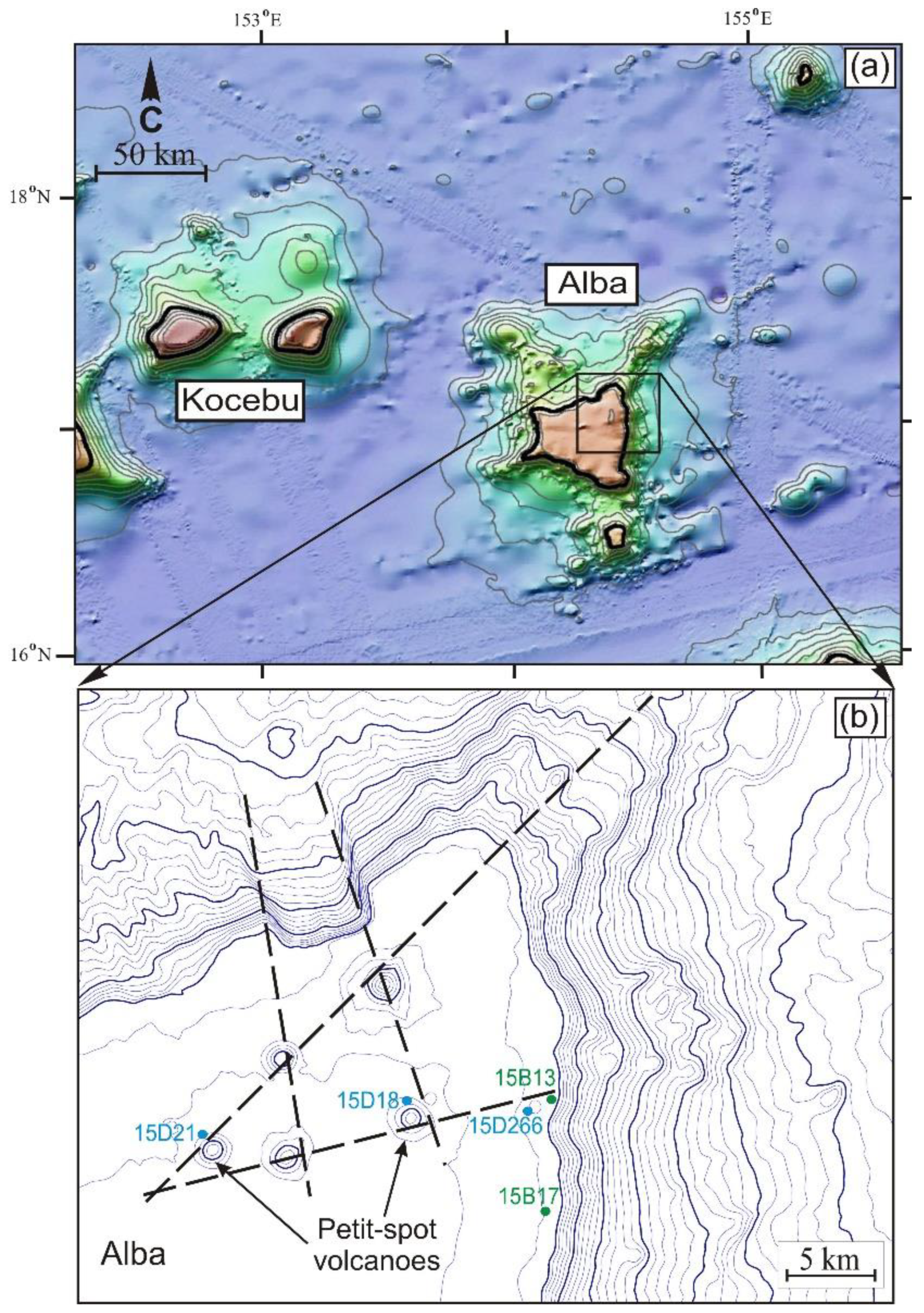 Preprints 115485 g001