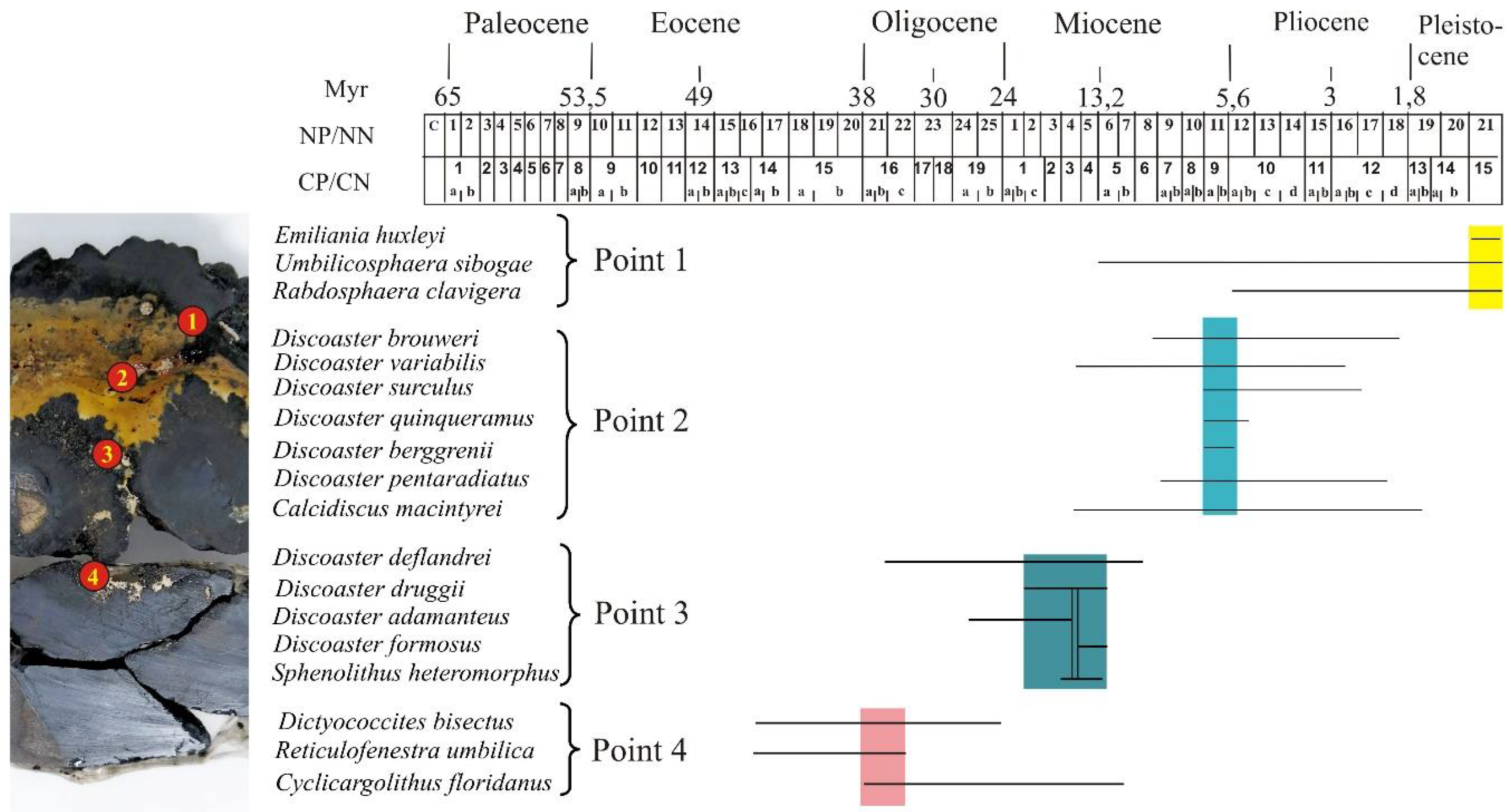 Preprints 115485 g003