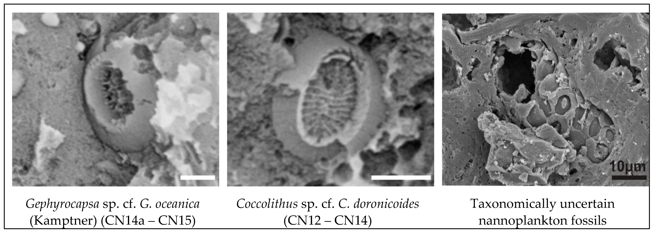 Preprints 115485 g004b