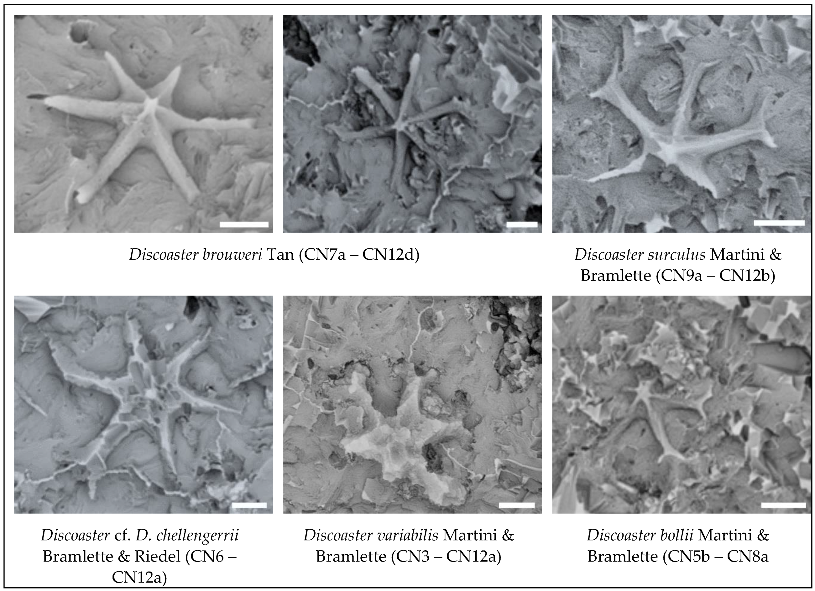 Preprints 115485 g005a