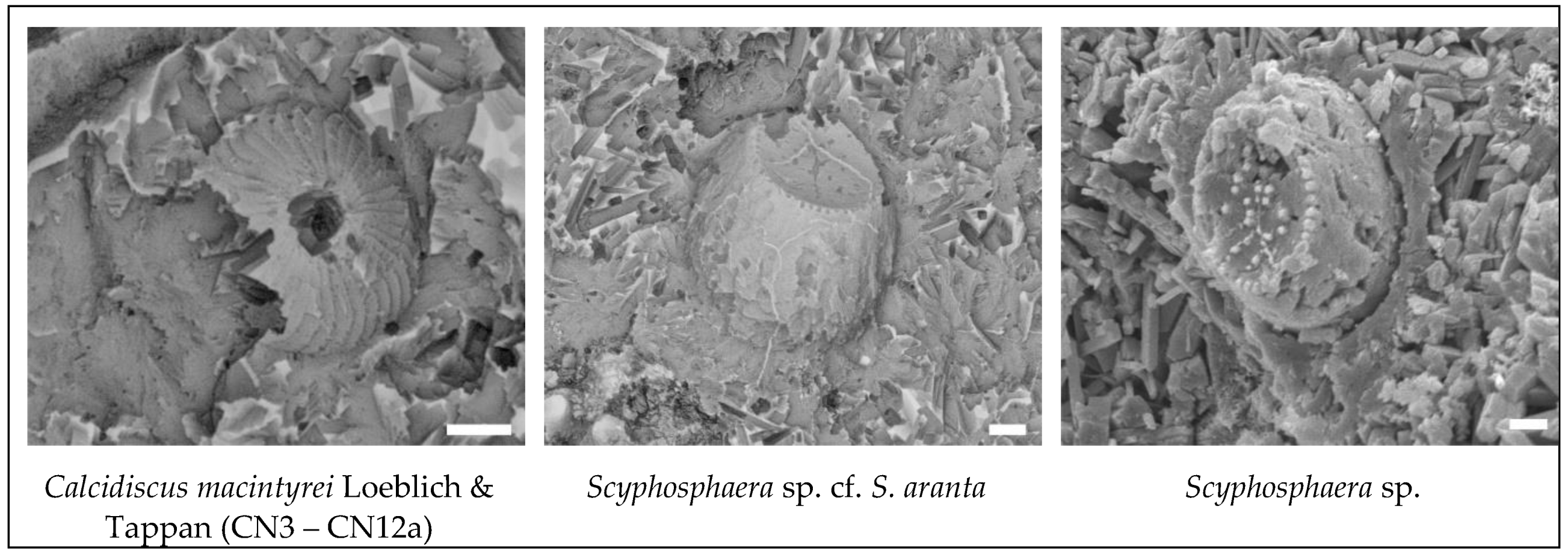 Preprints 115485 g005b
